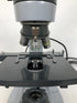 American Optical Illuminator 1031 Binocular Microscope AO Spencer
