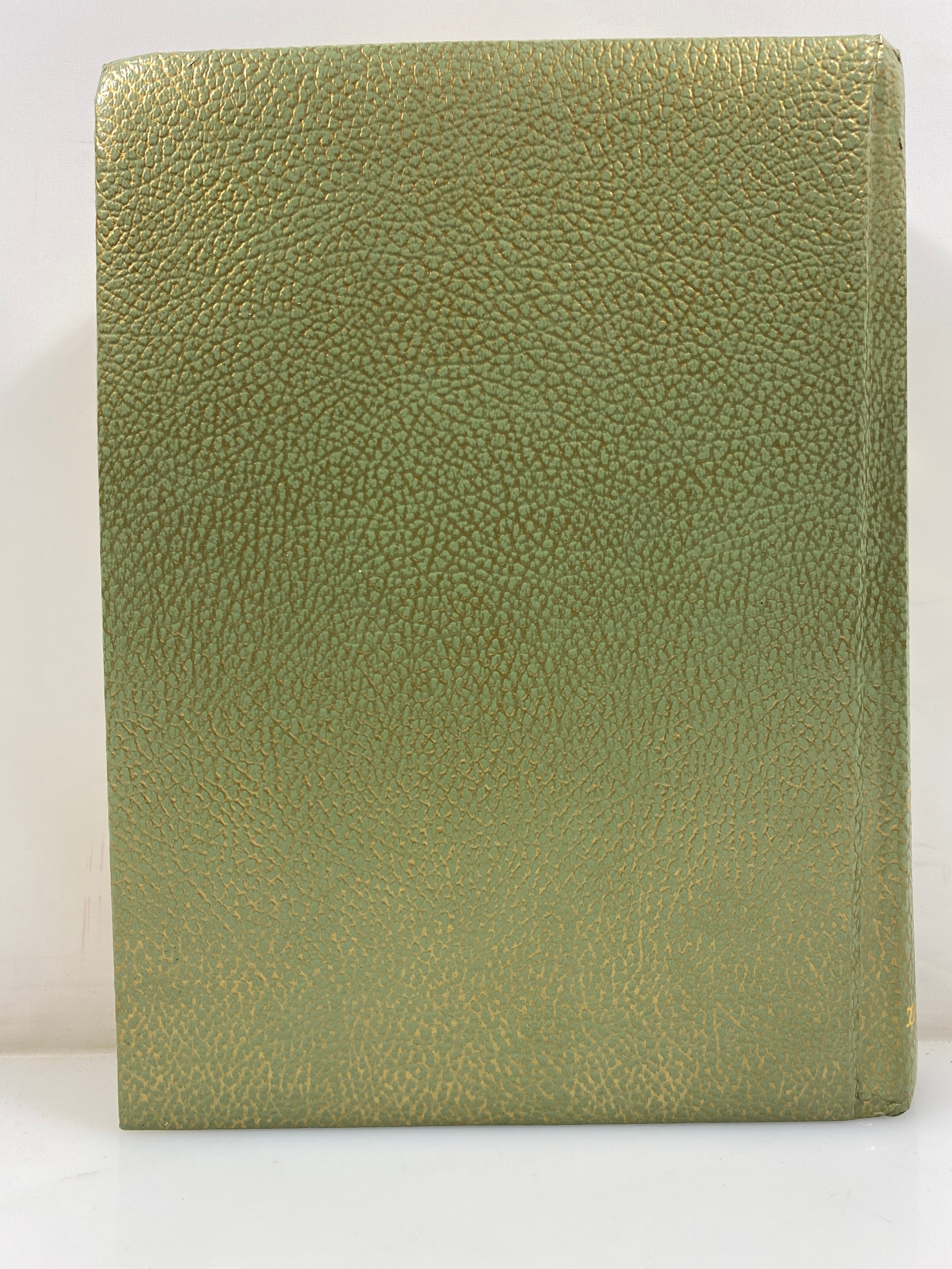 The New American Bible Catholic Bible Publishers 1988 HC