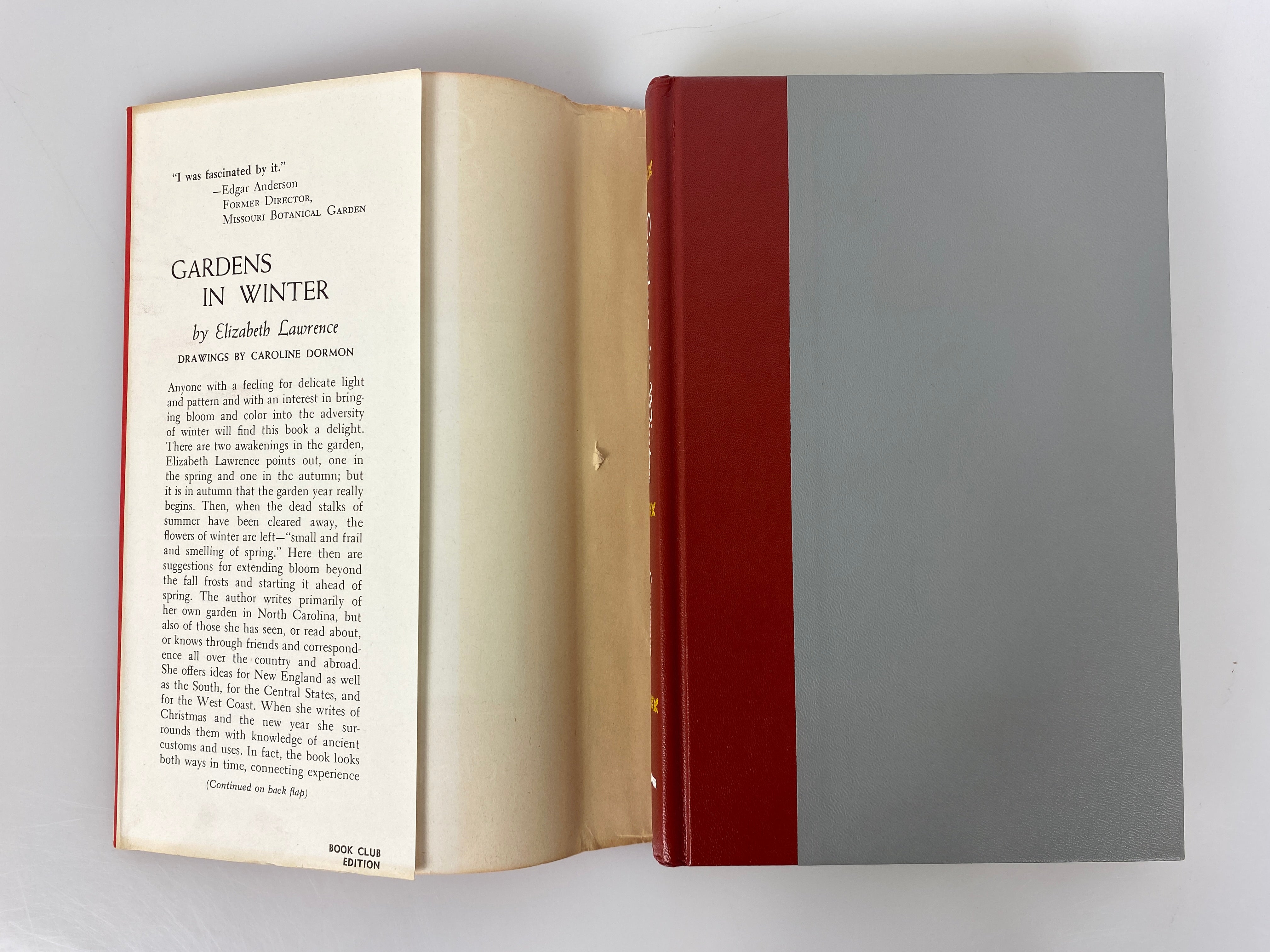 Gardens in Winter by Elizabeth Lawrence 1961 Book Club Edition HCDJ