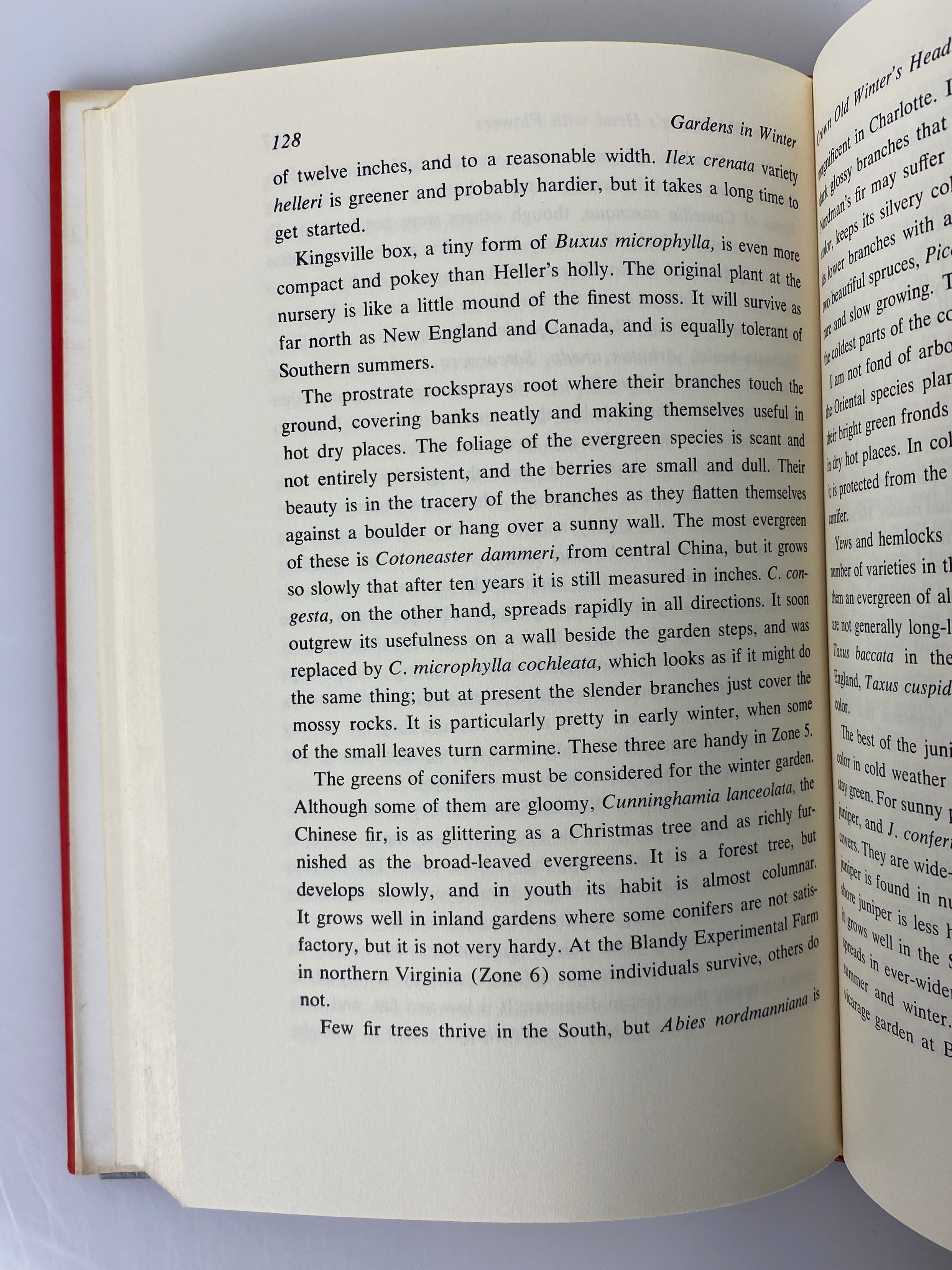 Gardens in Winter by Elizabeth Lawrence 1961 Book Club Edition HCDJ