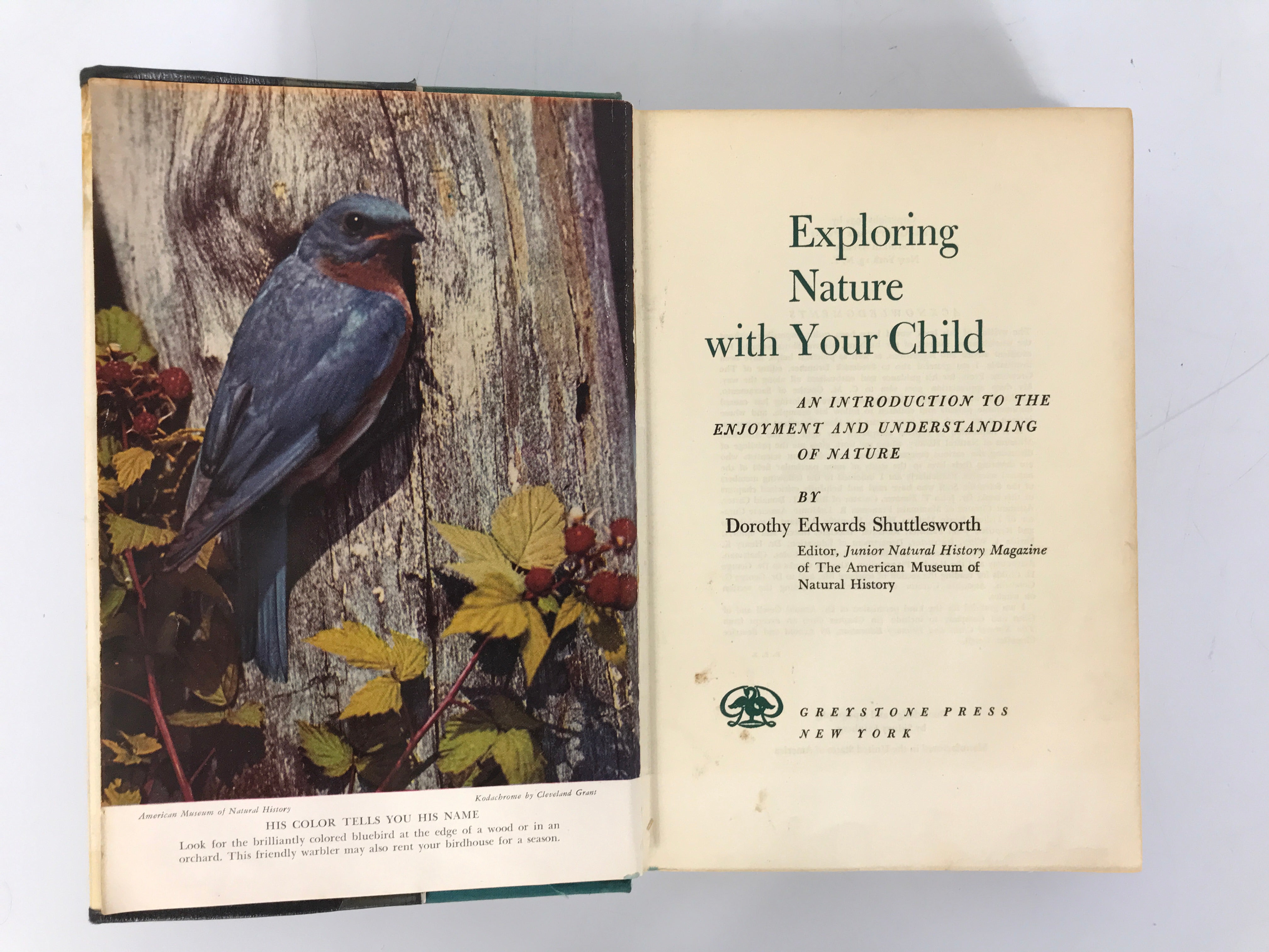 Exploring Nature With Your Child by Dorothy Shuttlesworth 1952 HC DJ