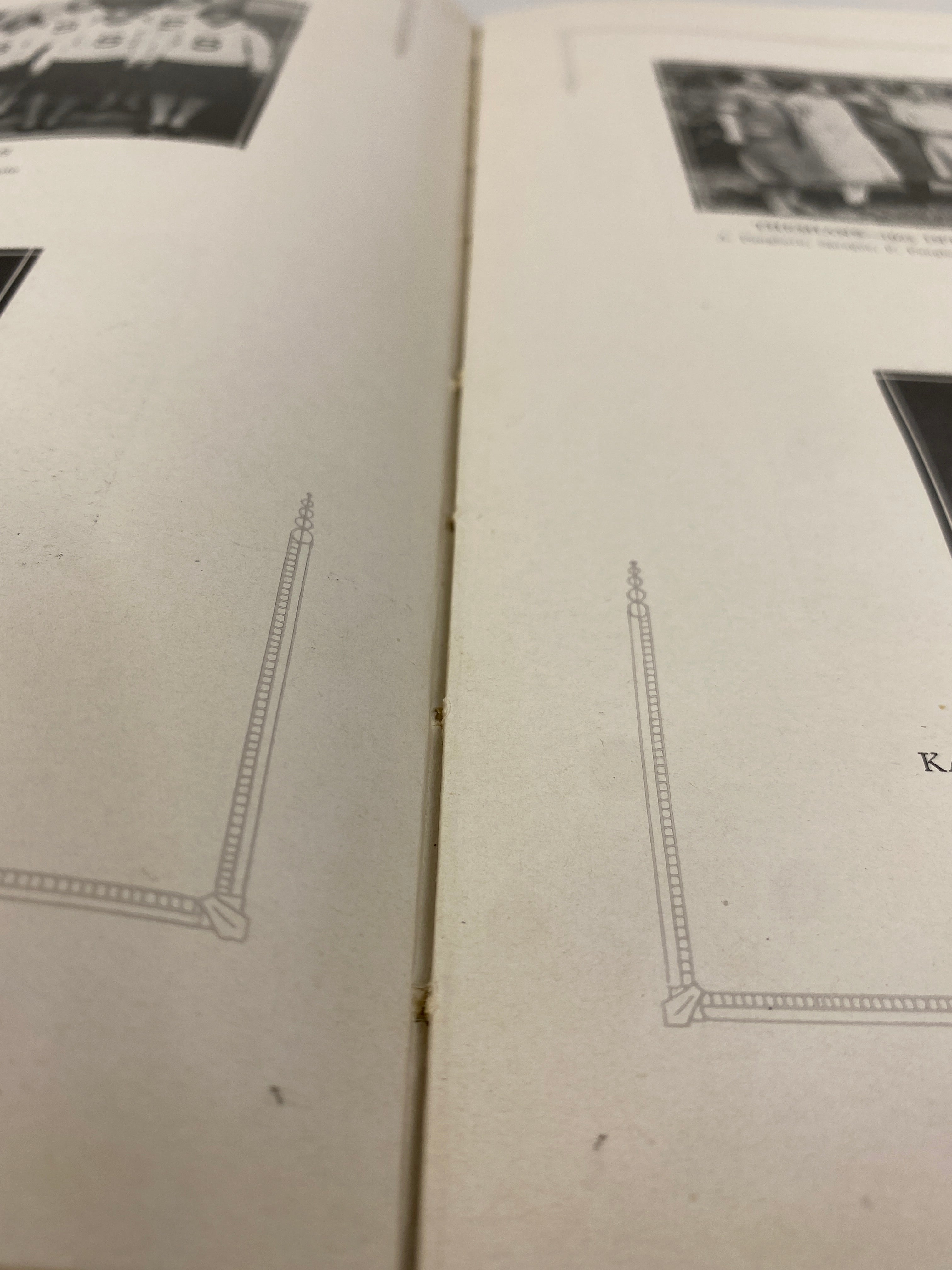 1926 Michigan State College "Wolverine" Yearbook HC