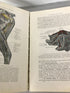 A Text-Book of Veterinary Anatomy by Septimus Sisson Illustrated 1911 HC