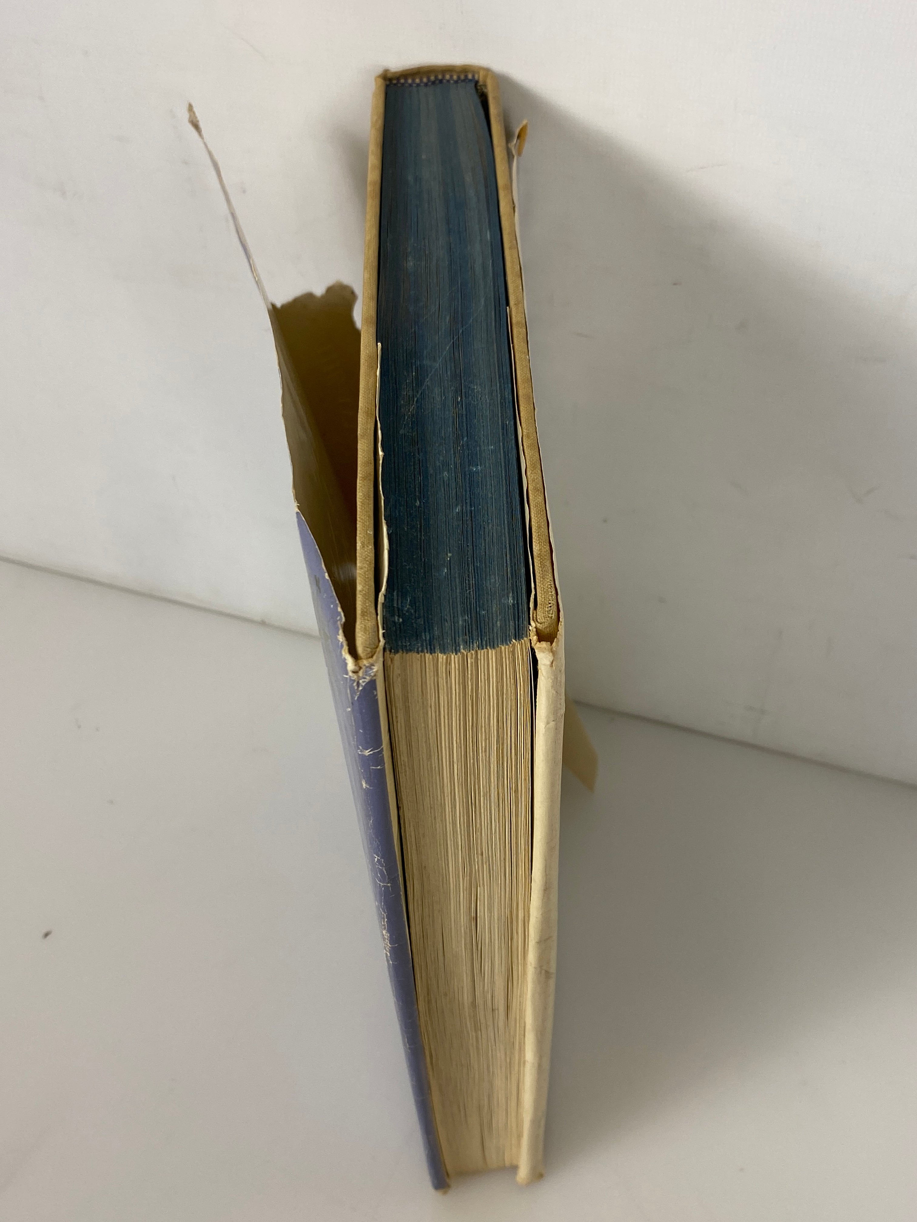 The Annotated Alice w Notes by Martin Gardner 1960 1st Ed HC DJ