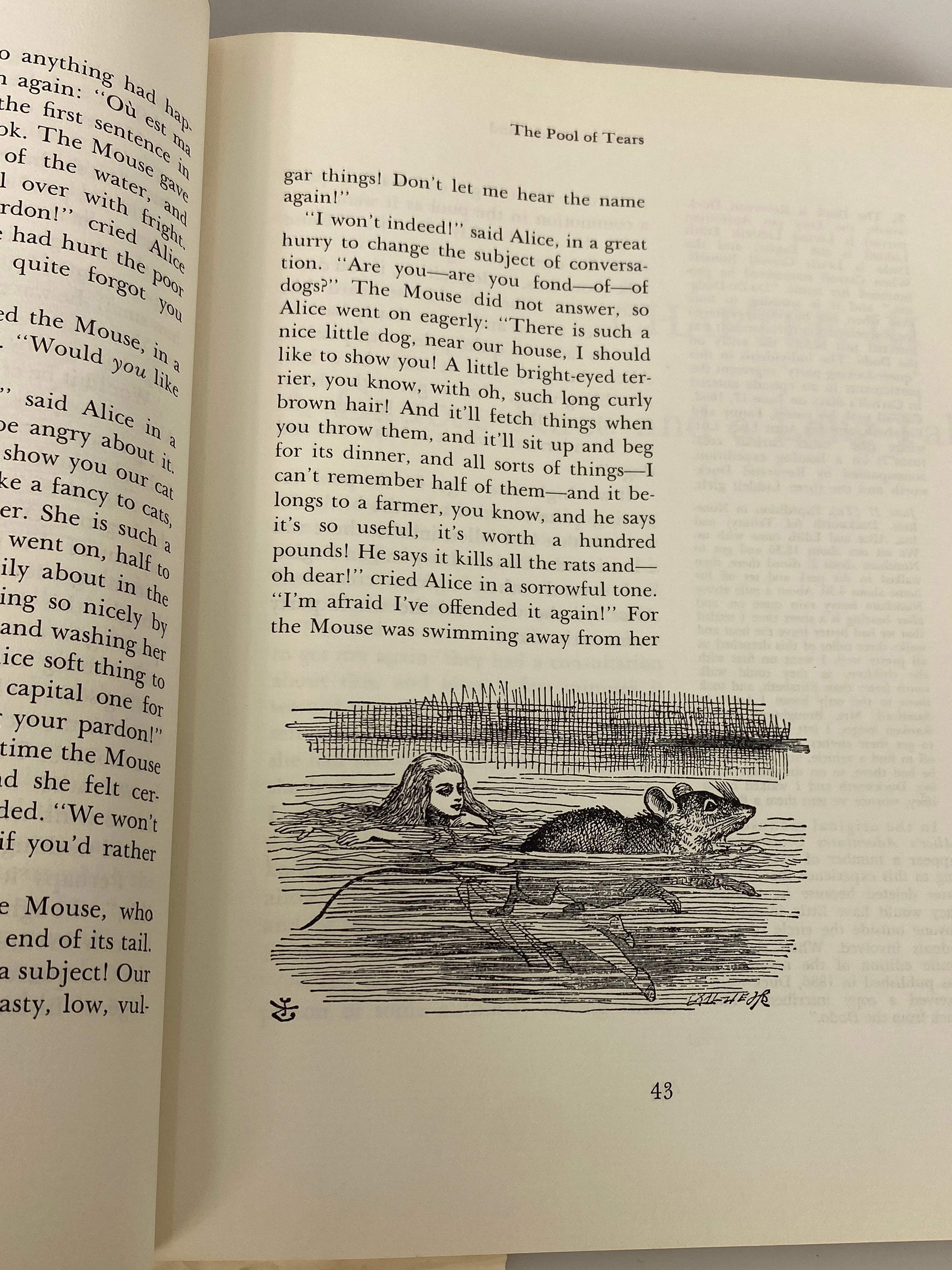The Annotated Alice w Notes by Martin Gardner 1960 1st Ed HC DJ