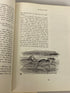 The Annotated Alice w Notes by Martin Gardner 1960 1st Ed HC DJ