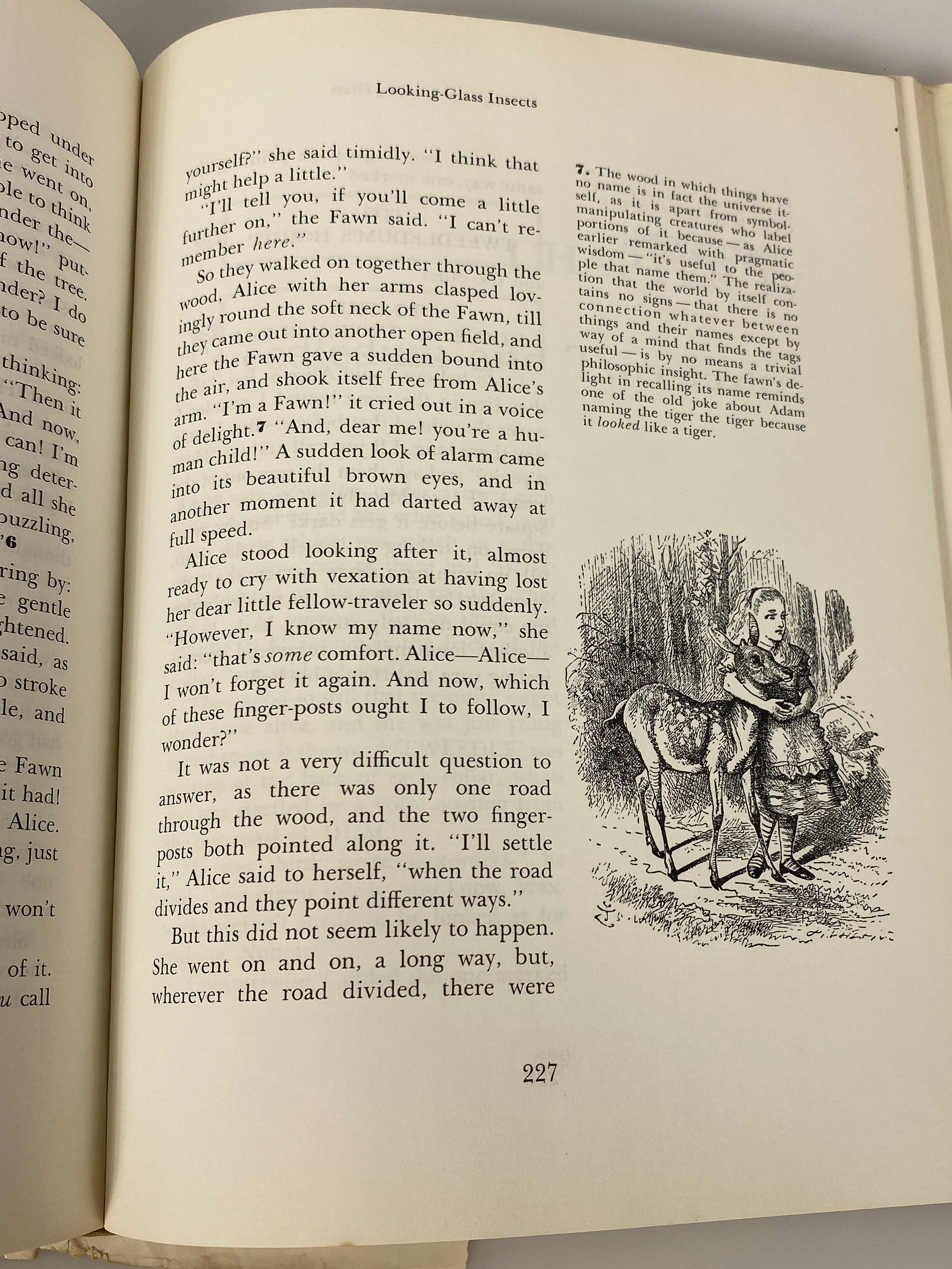 The Annotated Alice w Notes by Martin Gardner 1960 1st Ed HC DJ