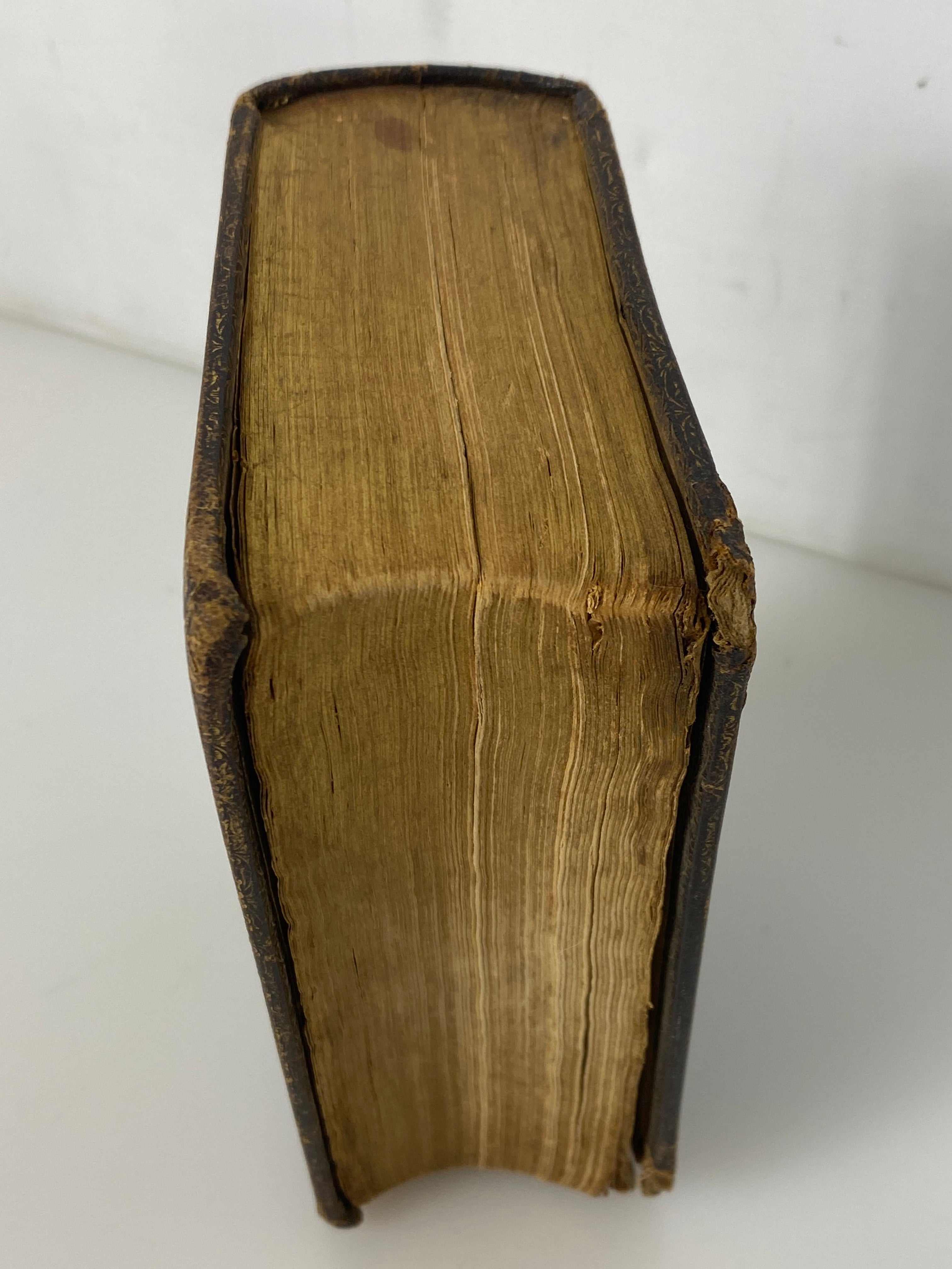 The Holy Bible Old & New Testaments 1856 American Bible Society Antique HC