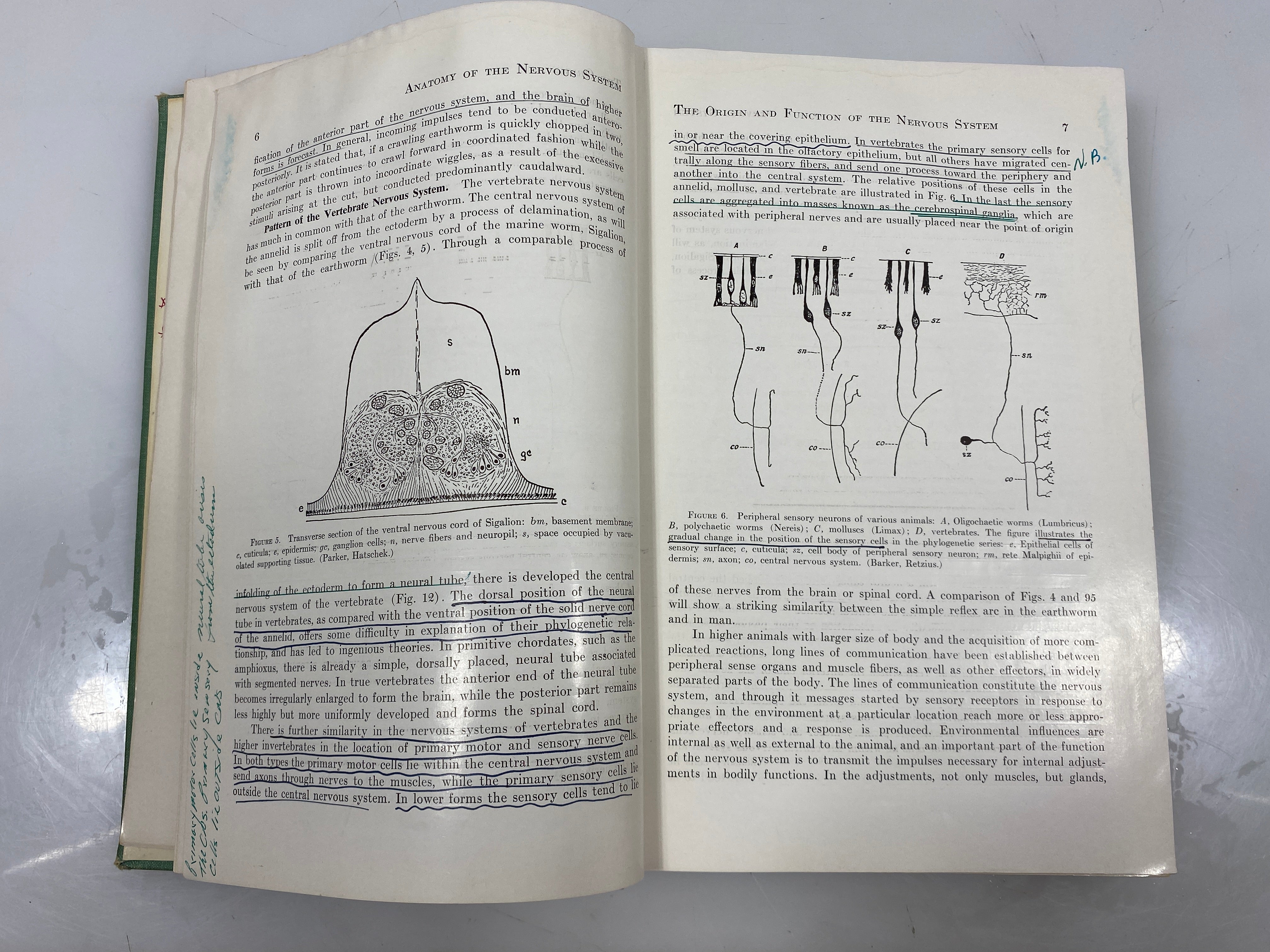 The Anatomy of the Nervous System by Ranson/Clark Ex-Library 1959 HC