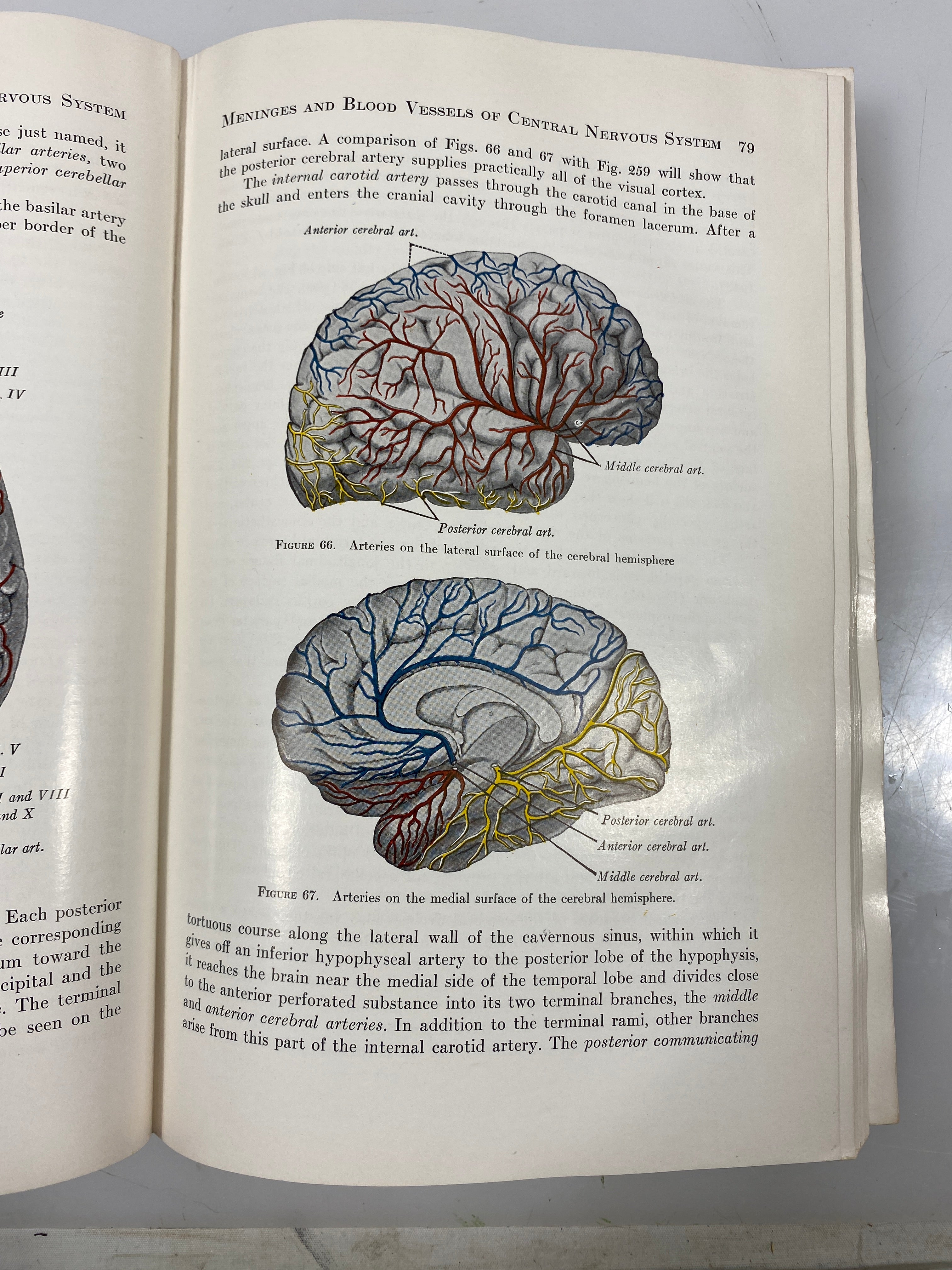 The Anatomy of the Nervous System by Ranson/Clark Ex-Library 1959 HC