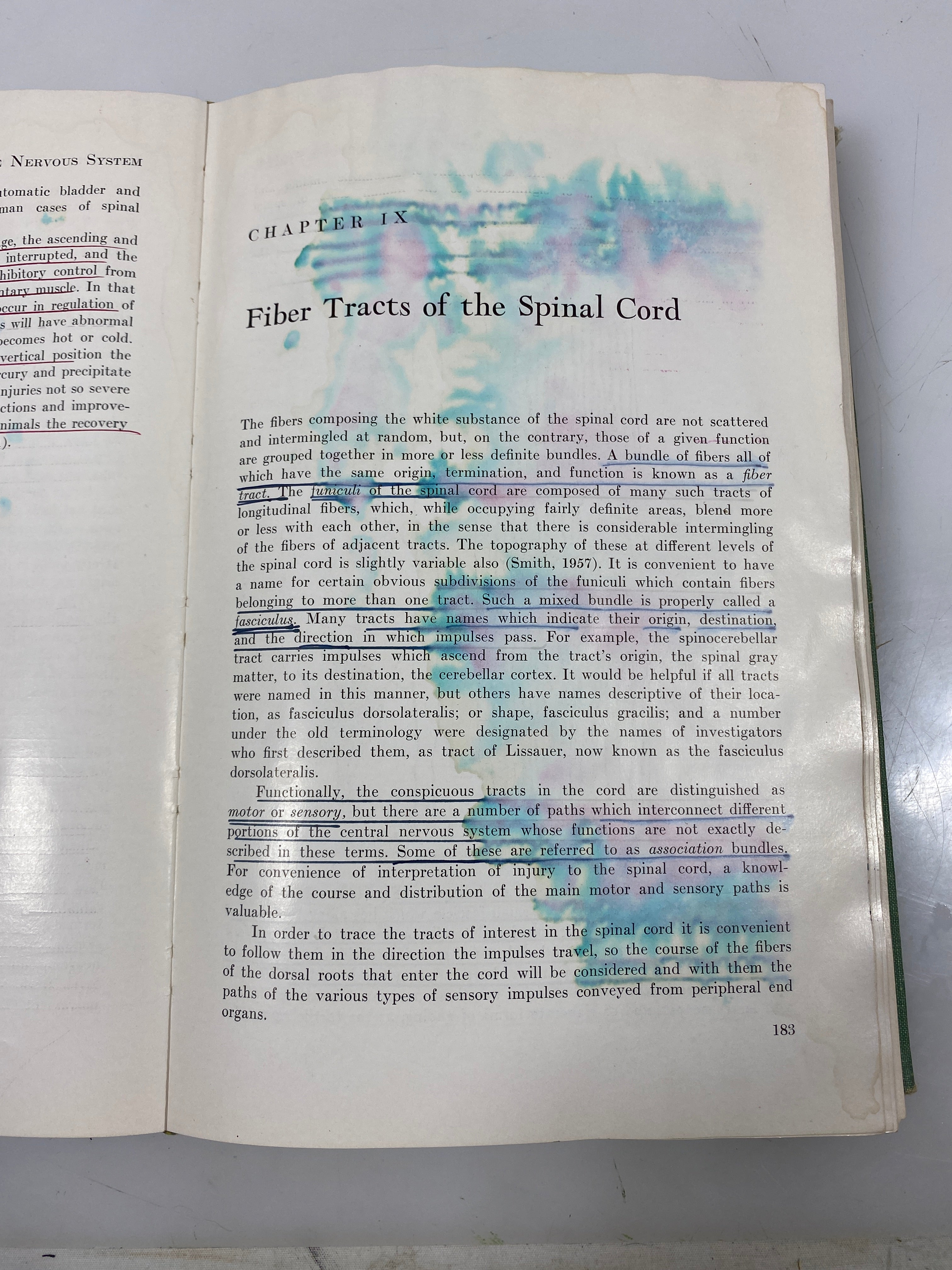 The Anatomy of the Nervous System by Ranson/Clark Ex-Library 1959 HC
