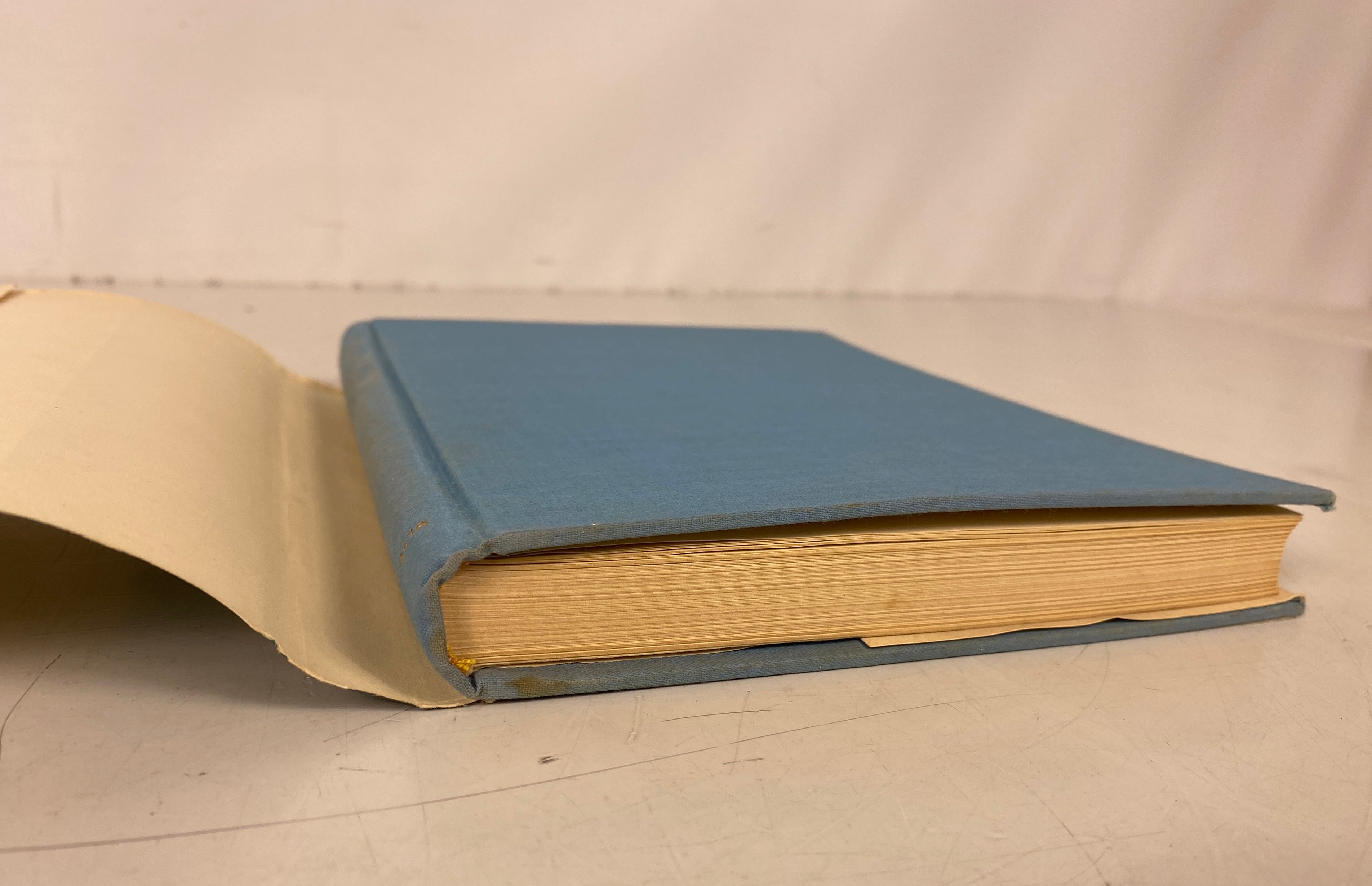 Hispanic-Portuguese Literary Relations of the Golden Age (Spanish) 1957 HCDJ