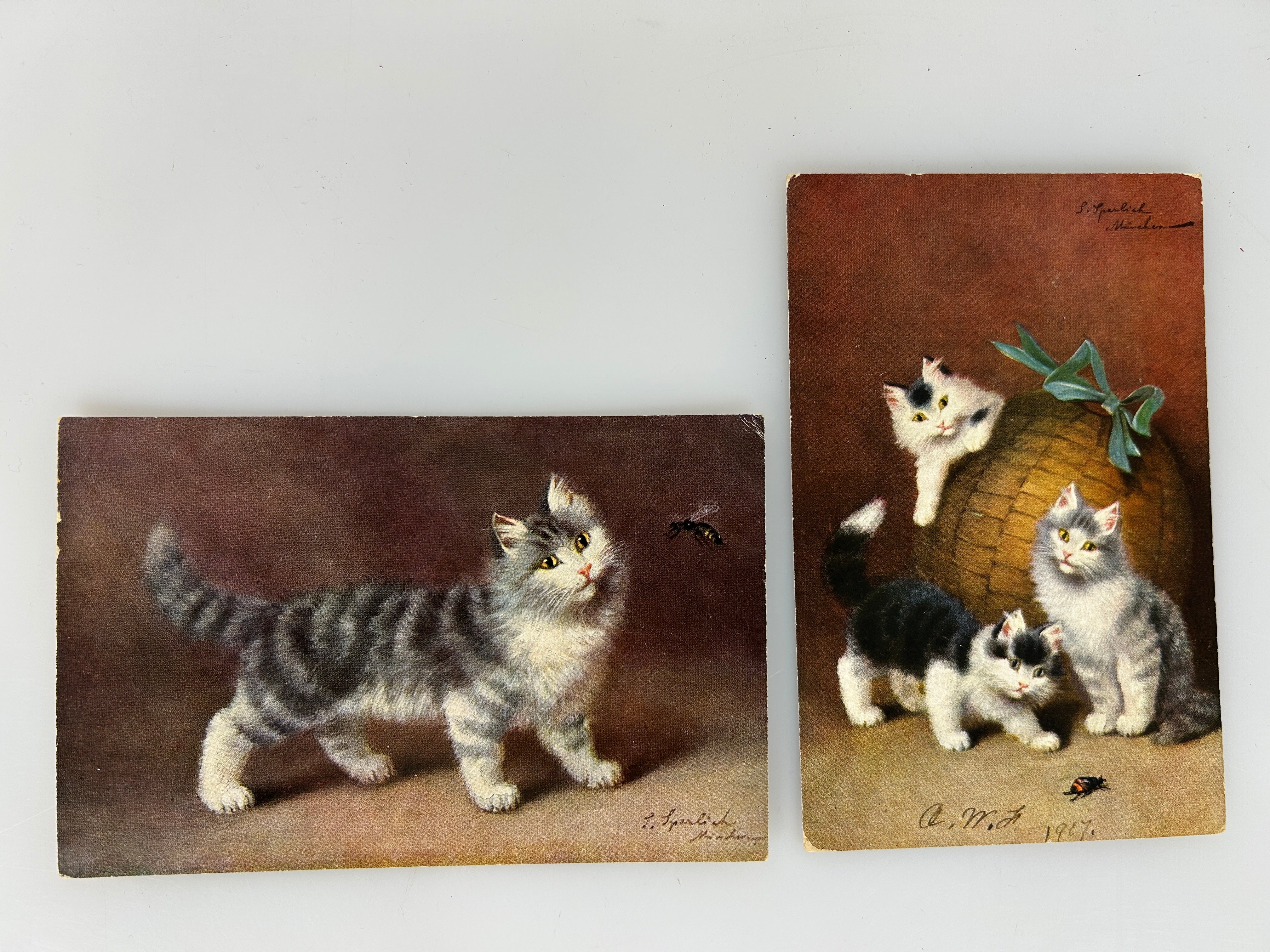 Lot of 2 Antique A/S S. Sperlich Cats with Bugs German printed c1900's