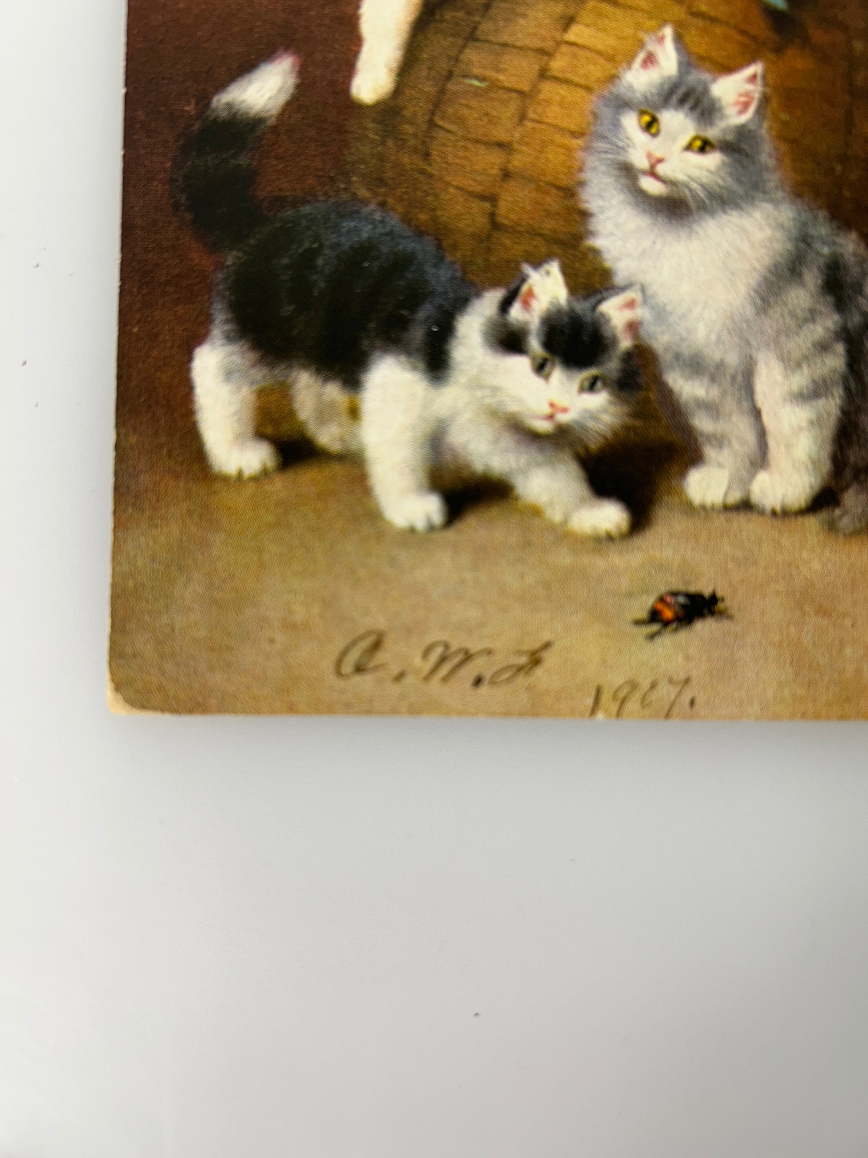 Lot of 2 Antique A/S S. Sperlich Cats with Bugs German printed c1900's