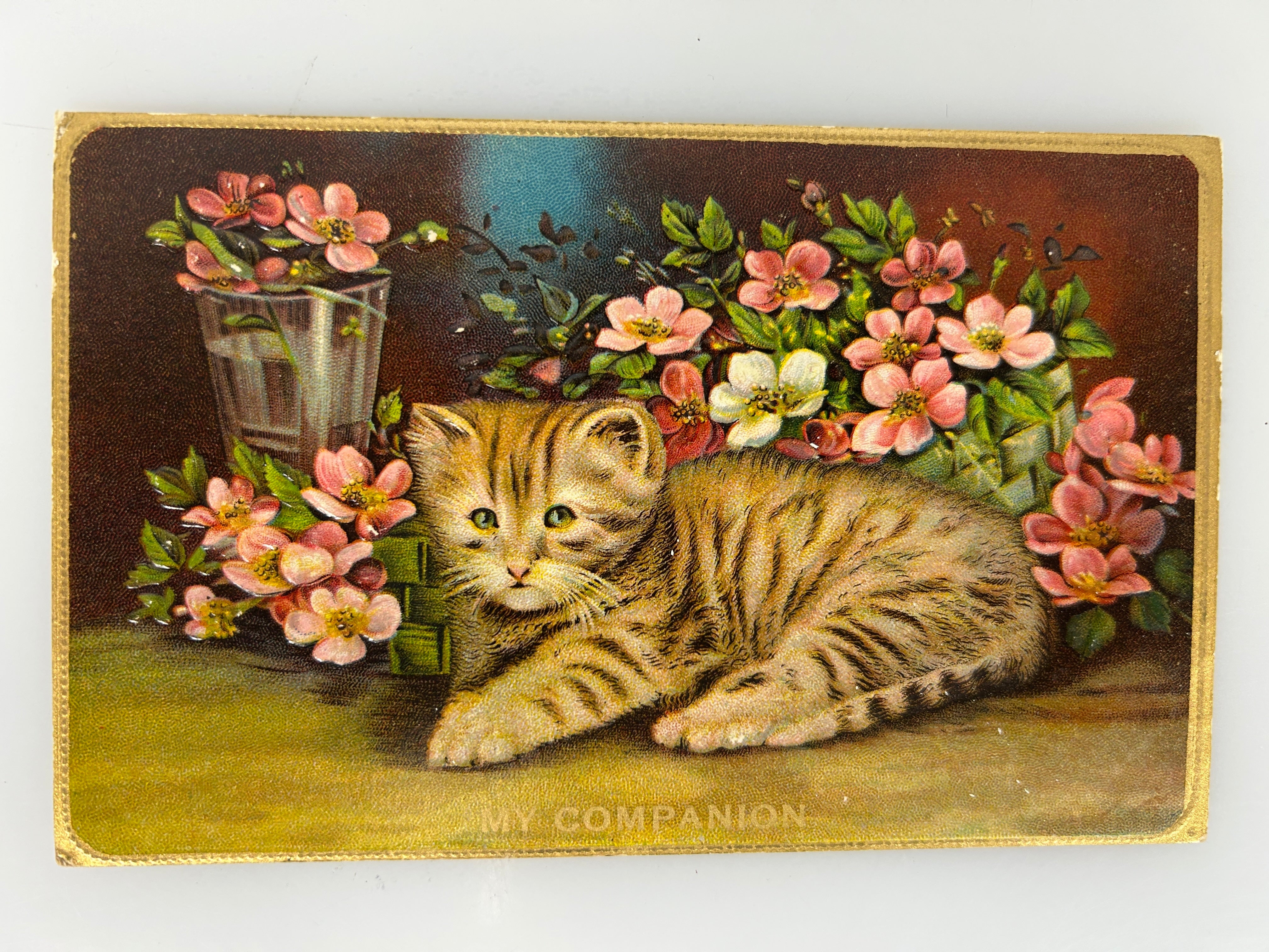 Antique Cat with Flowers Postcard Embossed Gold Border & "My Companion" c1910's