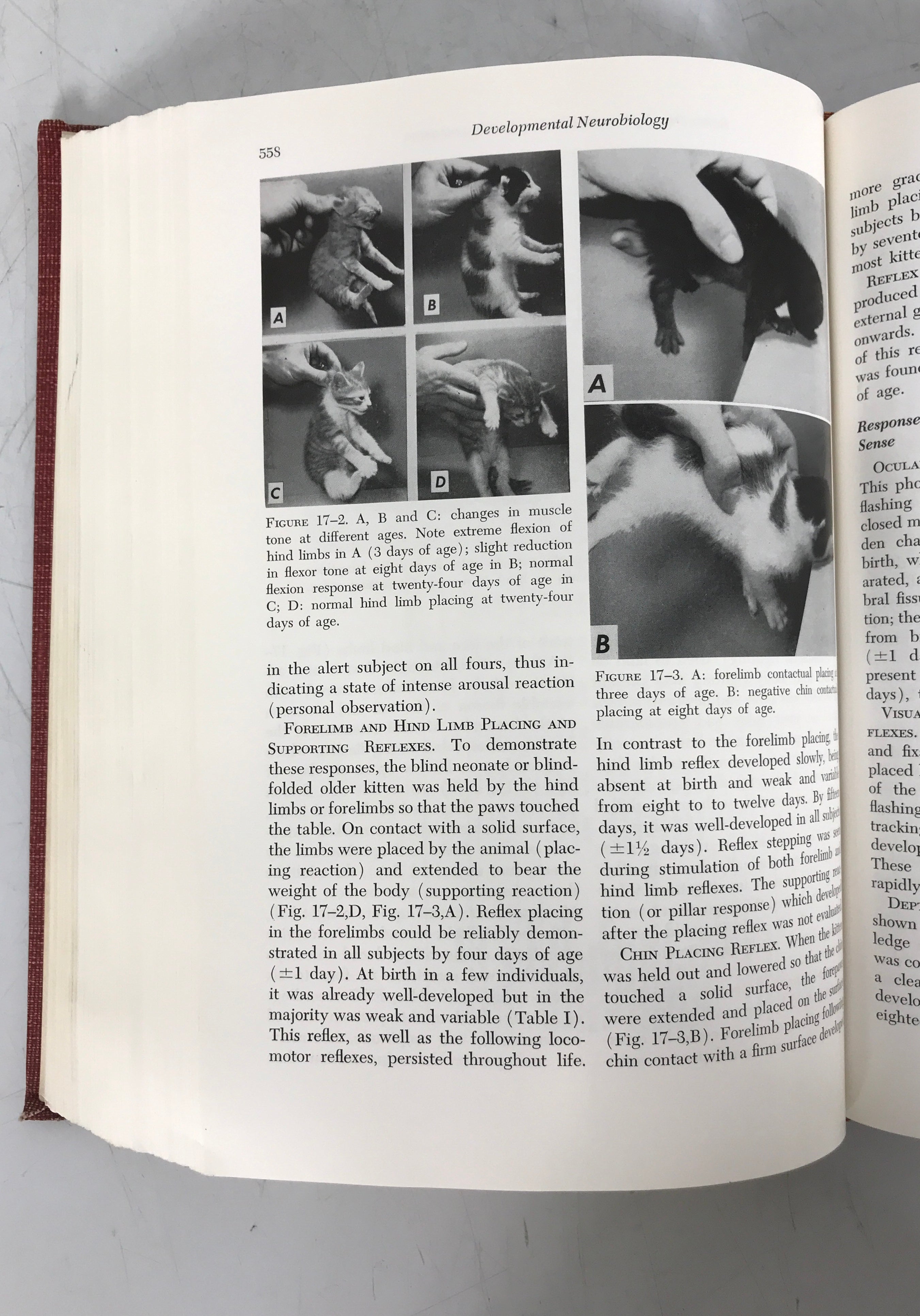 Developmental Neurobiology by W. Himwich 1970 HC Charles C. Thomas