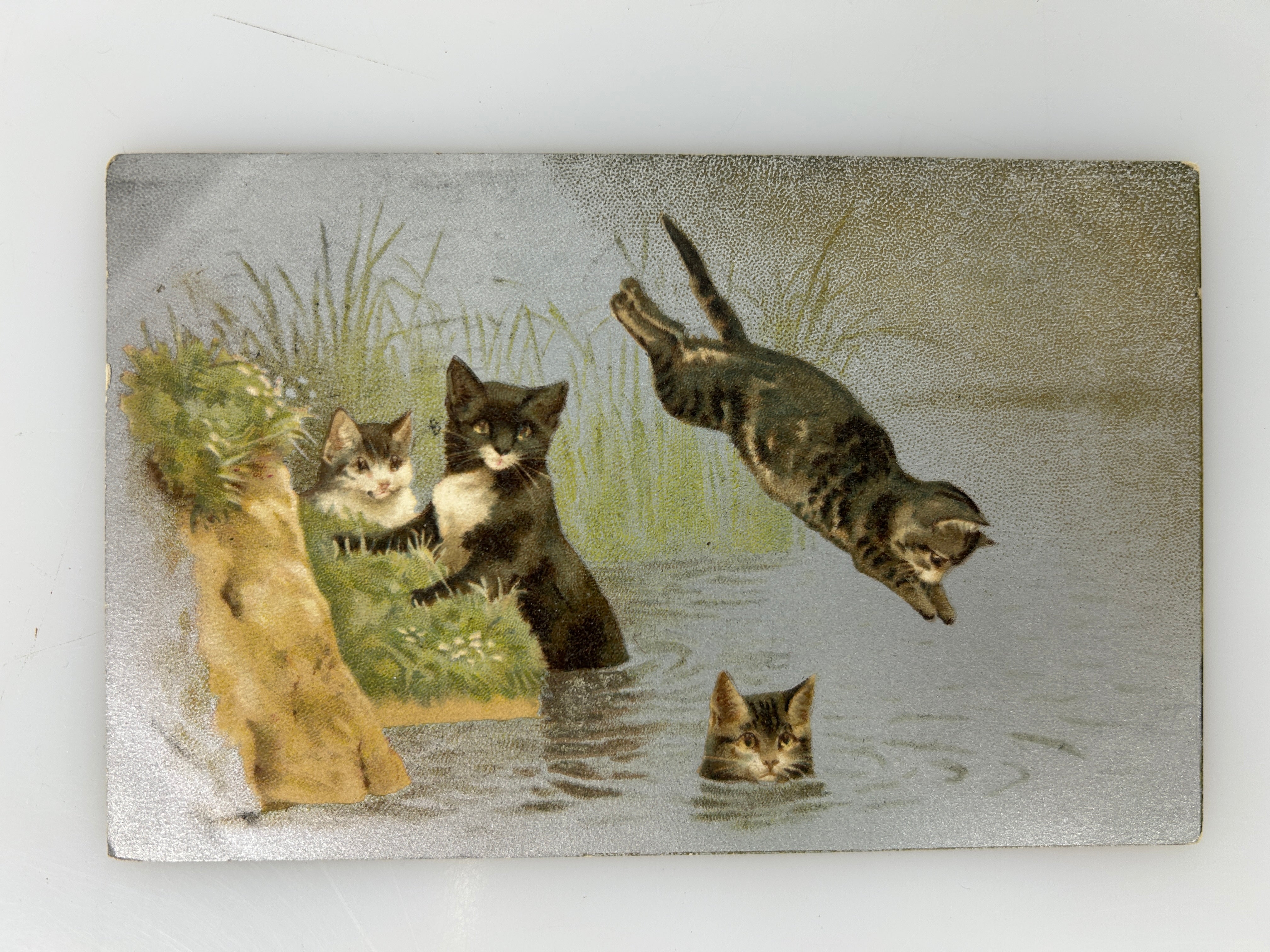 Antique Cat Postcard Antique Silver Gilt background Cats in Pond posted 1908