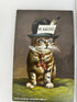 Lot of 6 Antique Cats of the Catskills S/A W Riess Souvenir Postcards c1907