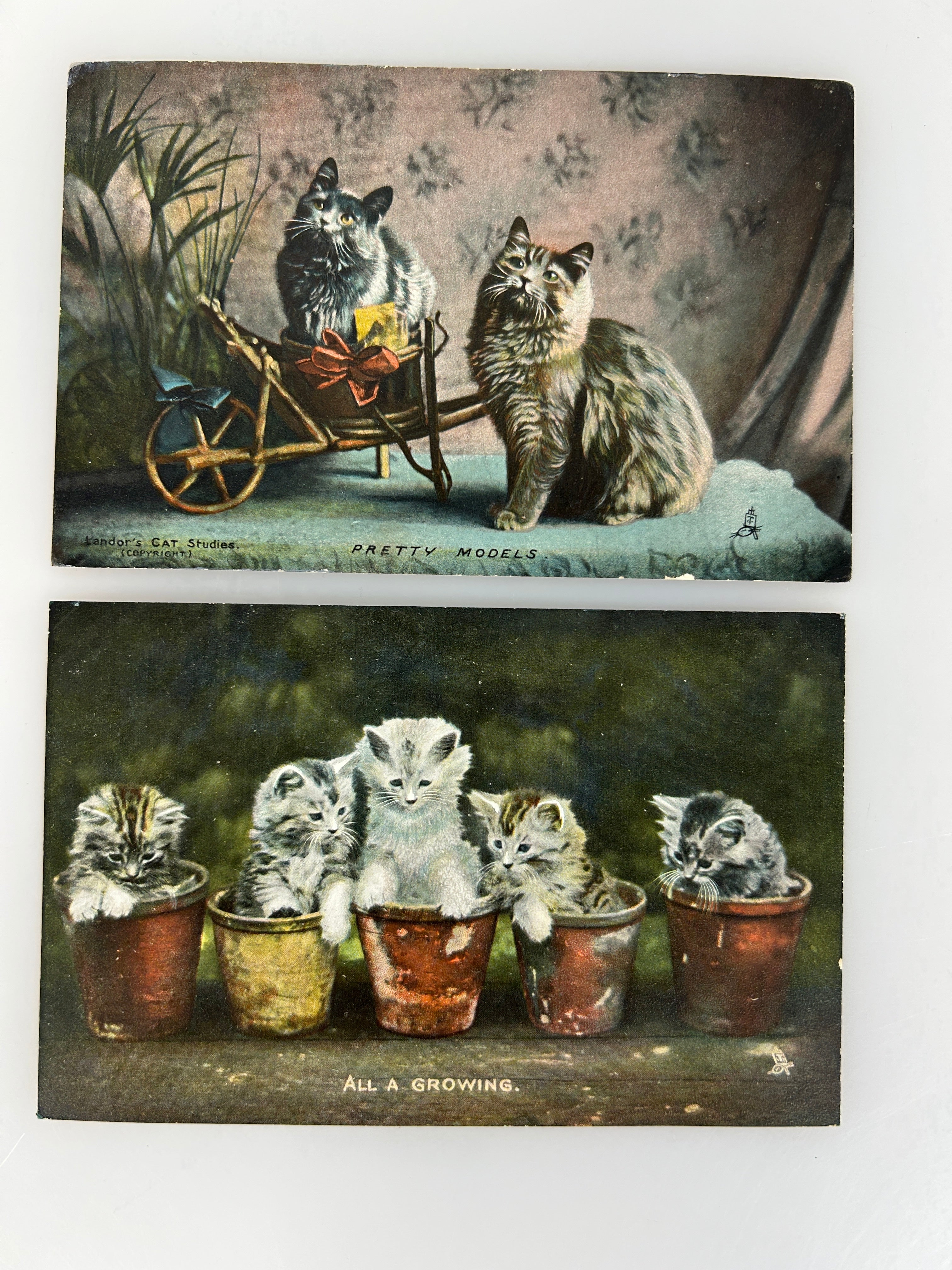 Lot of 2 Raphael Tuck's Happy Catland Postcards 1910's