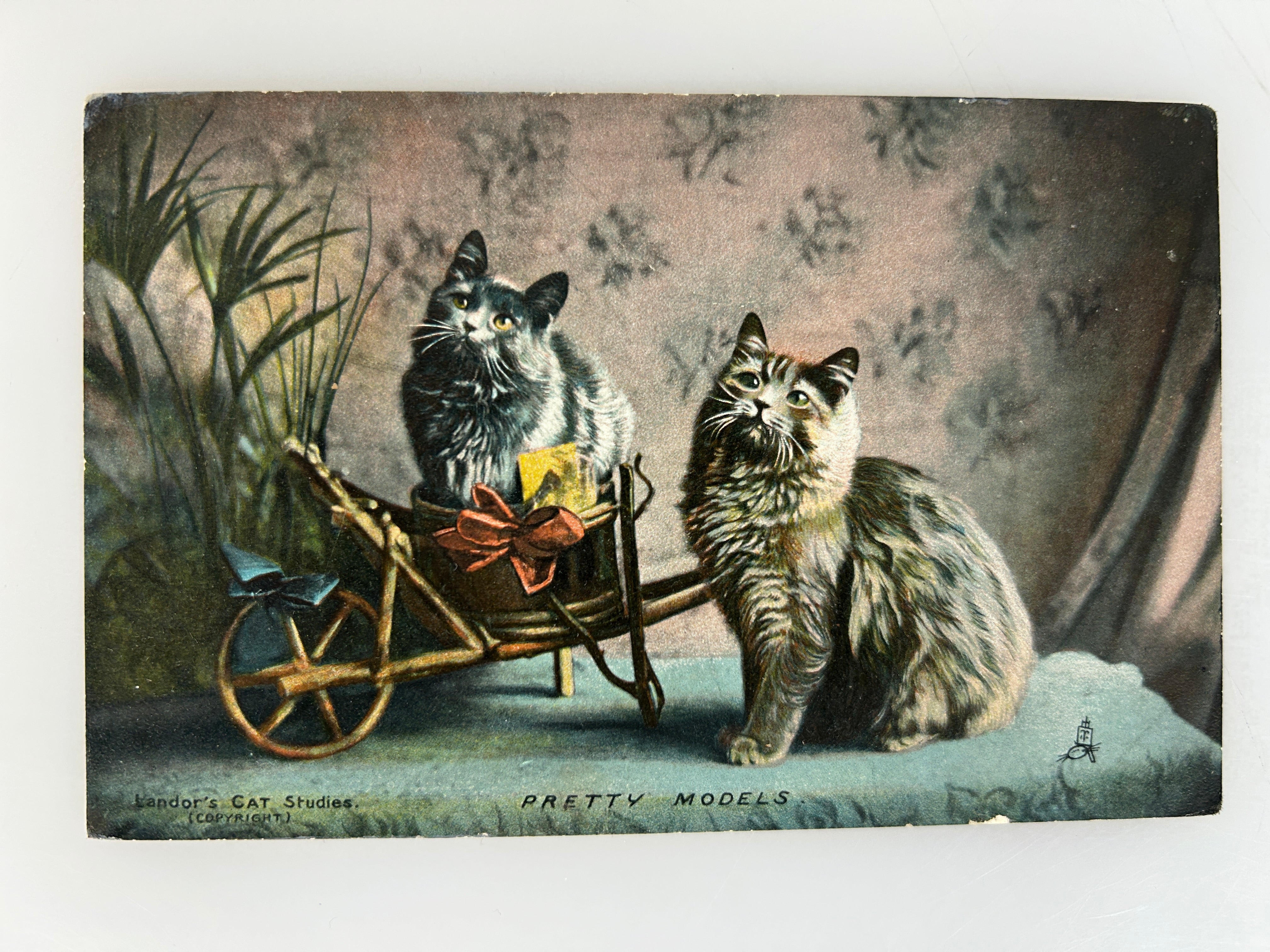 Lot of 2 Raphael Tuck's Happy Catland Postcards 1910's