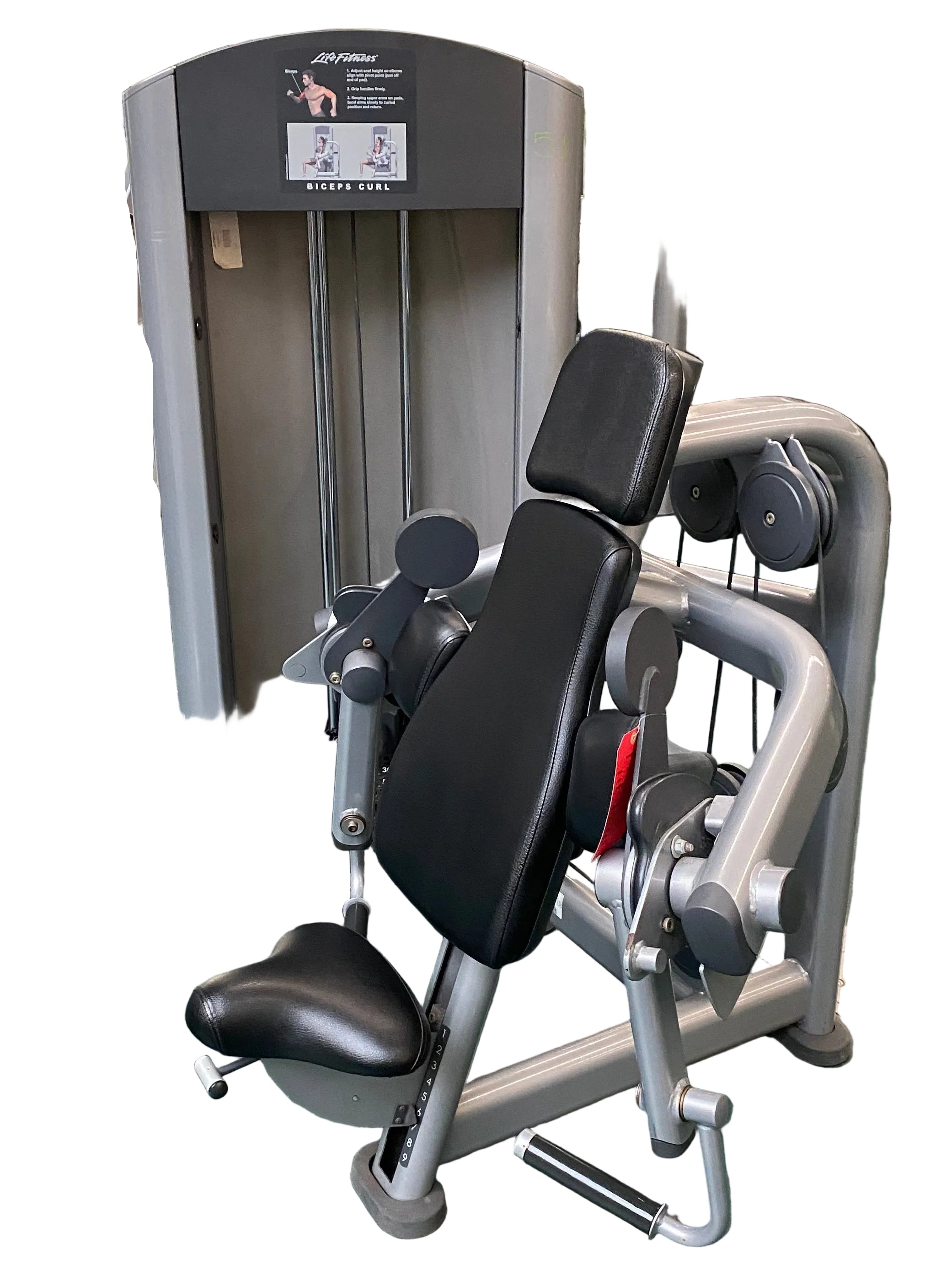 Life Fitness Bicep Curl Machine Model #FBC