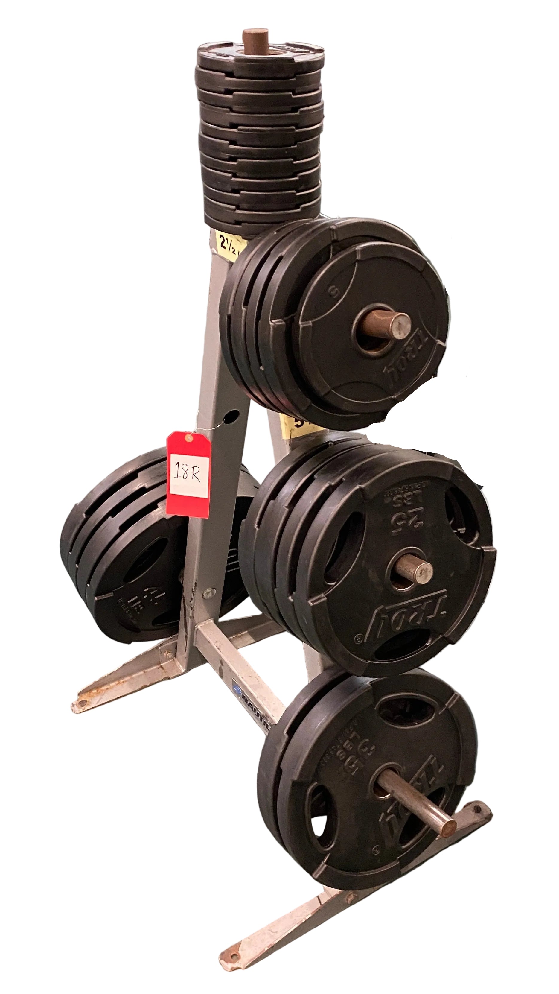 Nautilus Weight Rack Model #F2WT