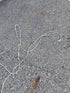Set of 4 Volleyball Nets with Poles & Anchors