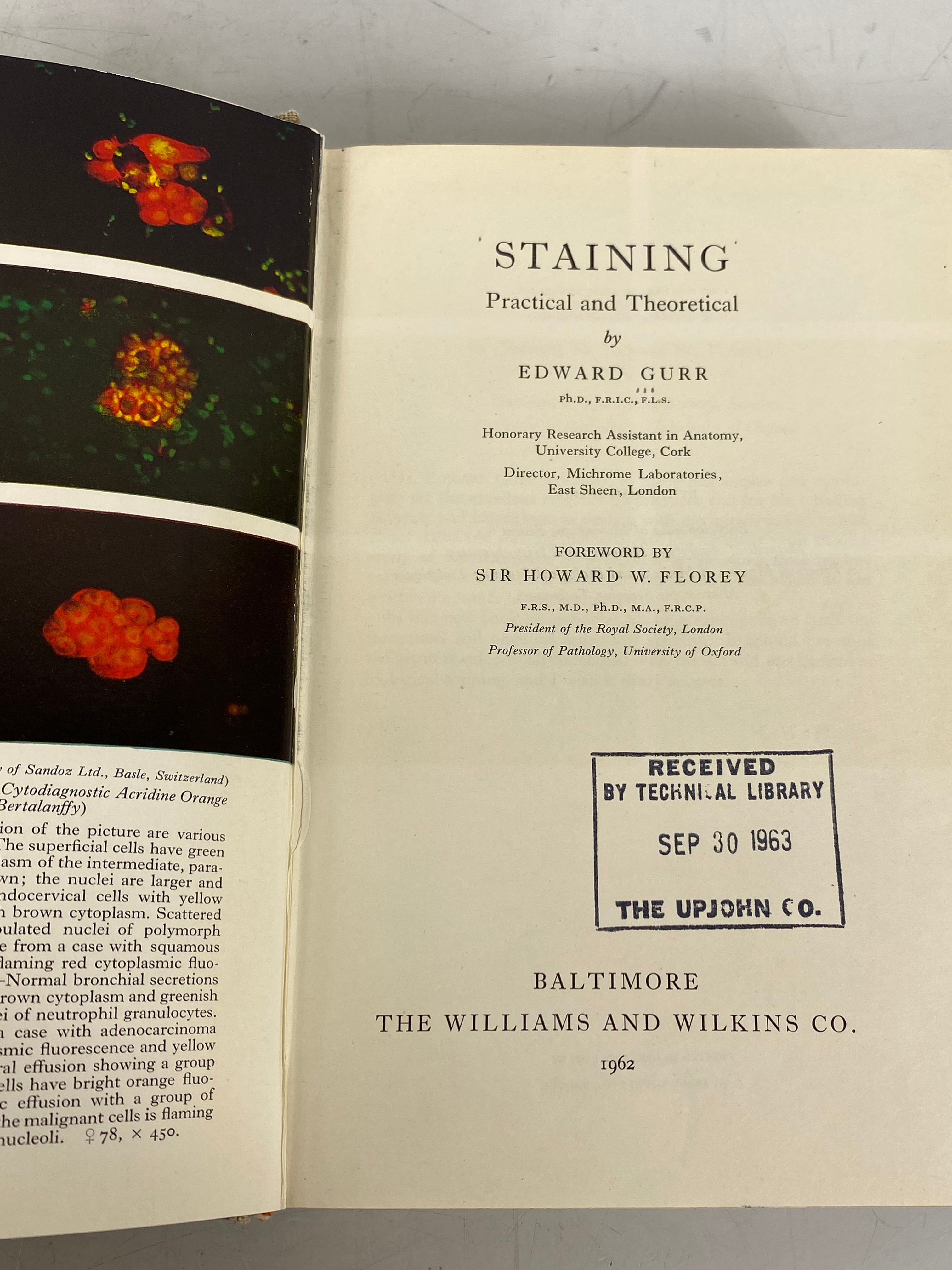 Staining Practical & Theoretical by Edward Gurr 1962 Ex-Library HC