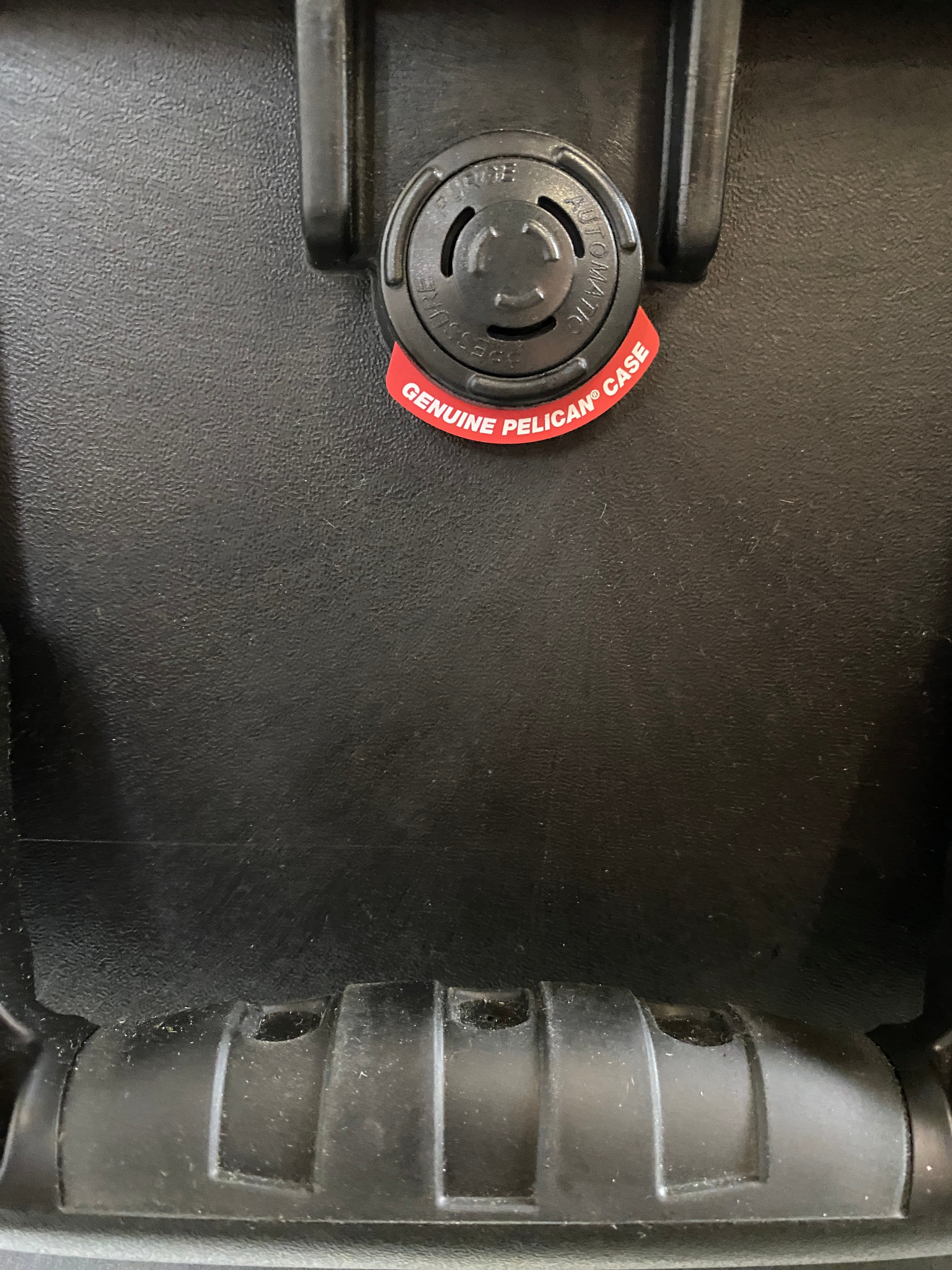 Pelican 1650 Protector Case