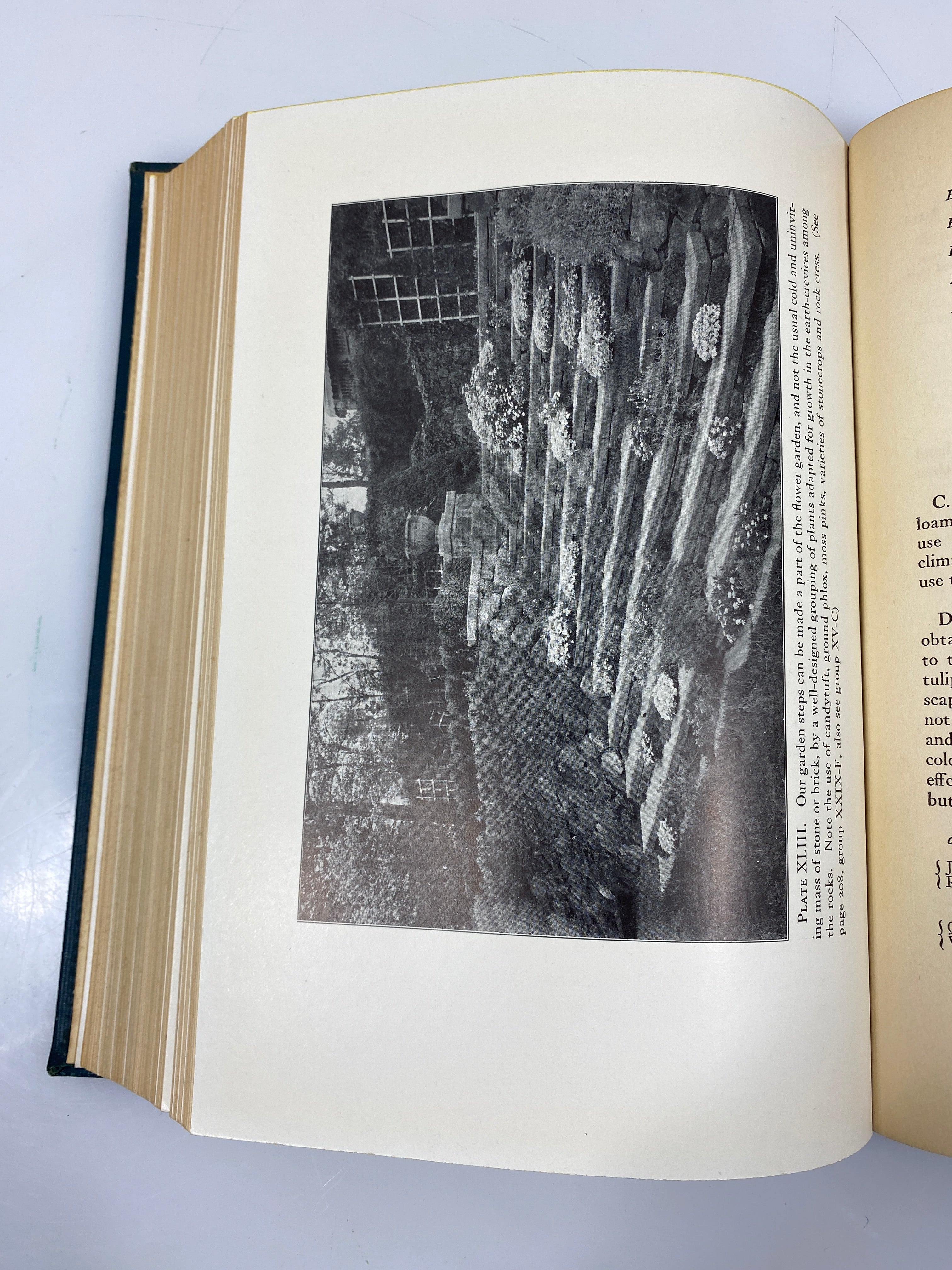 The Complete Garden by Taylor Garden City Publishing Co. 1921 HC