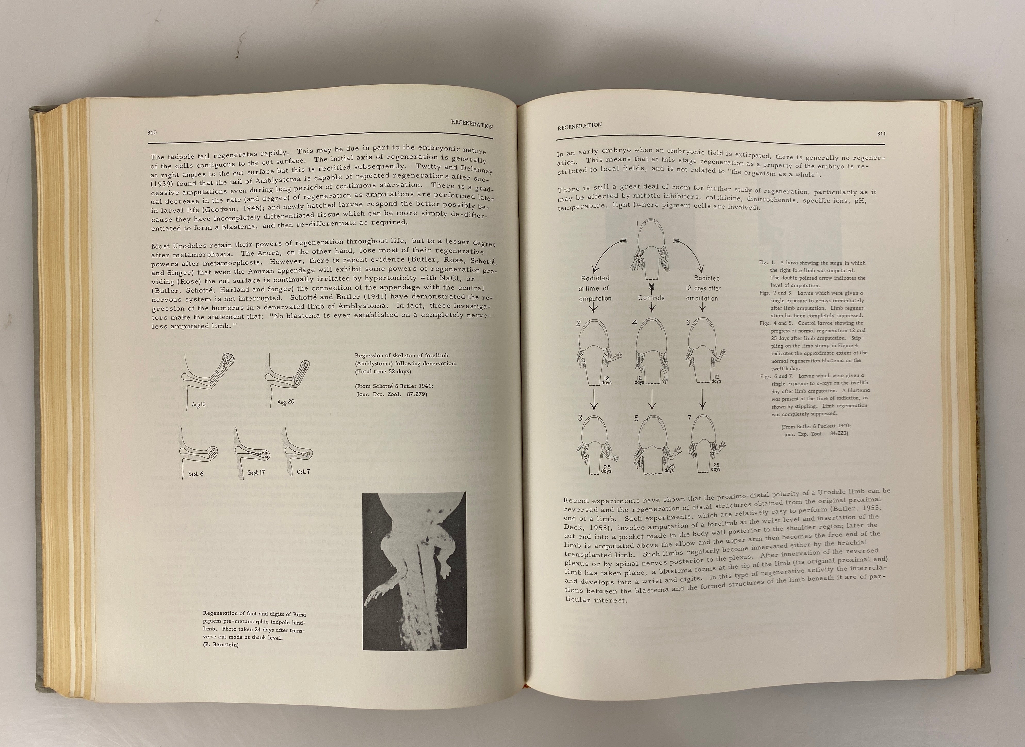 Experimental Embryology by Roberts Rugh 1962 Third Edition HC