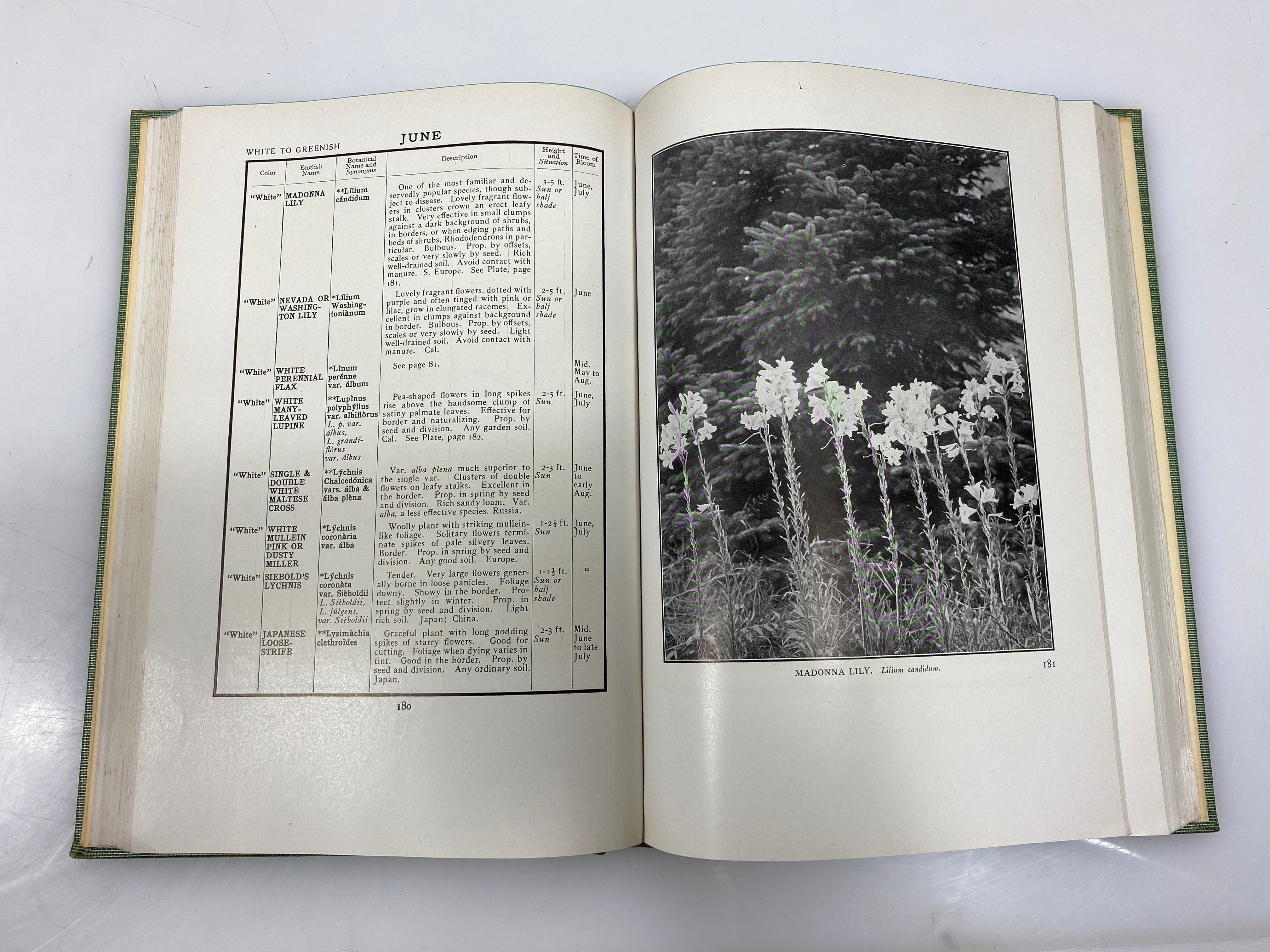 The Garden Month by Month by Sedgwick 1907 HC