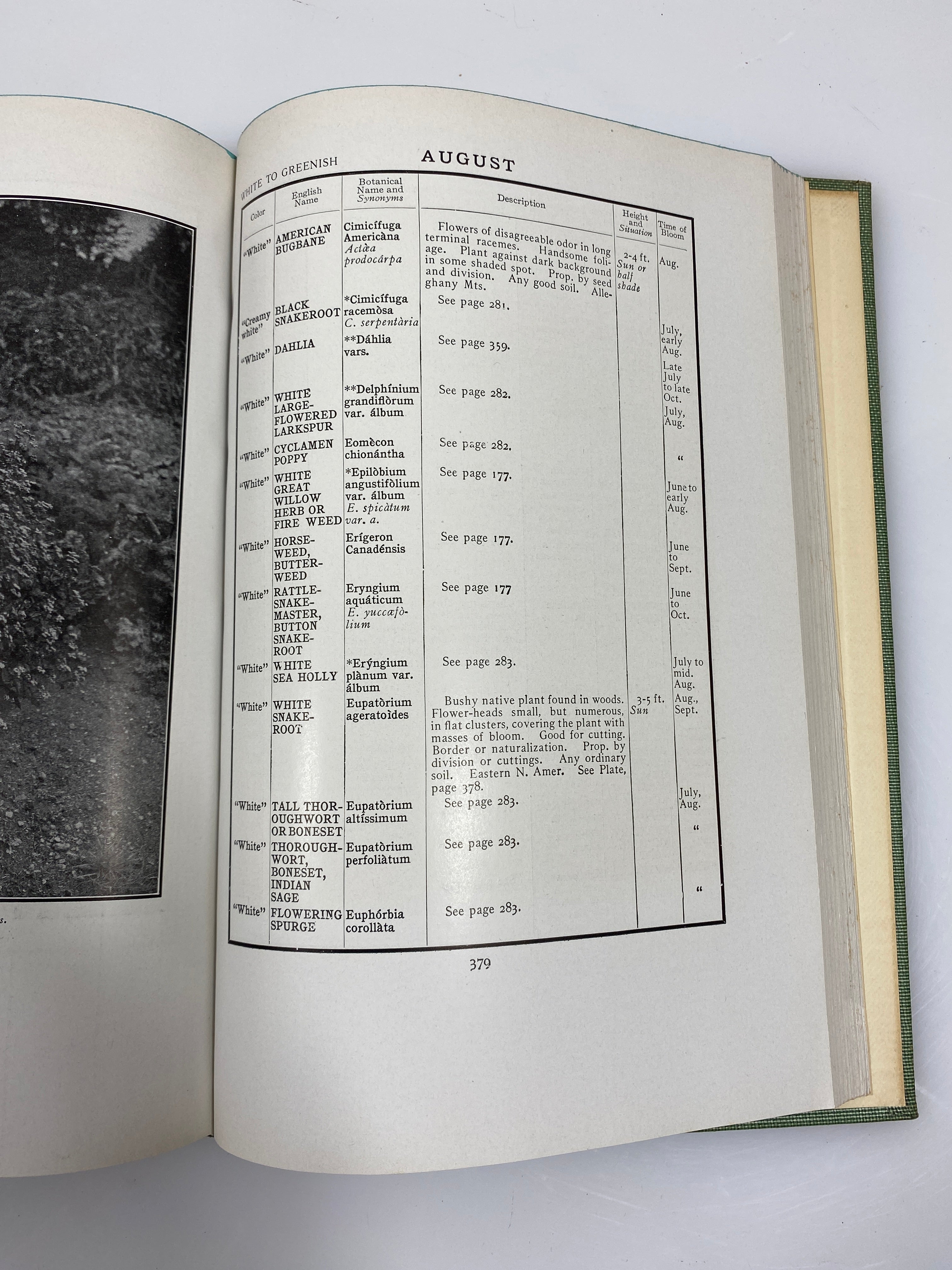 The Garden Month by Month by Sedgwick 1907 HC