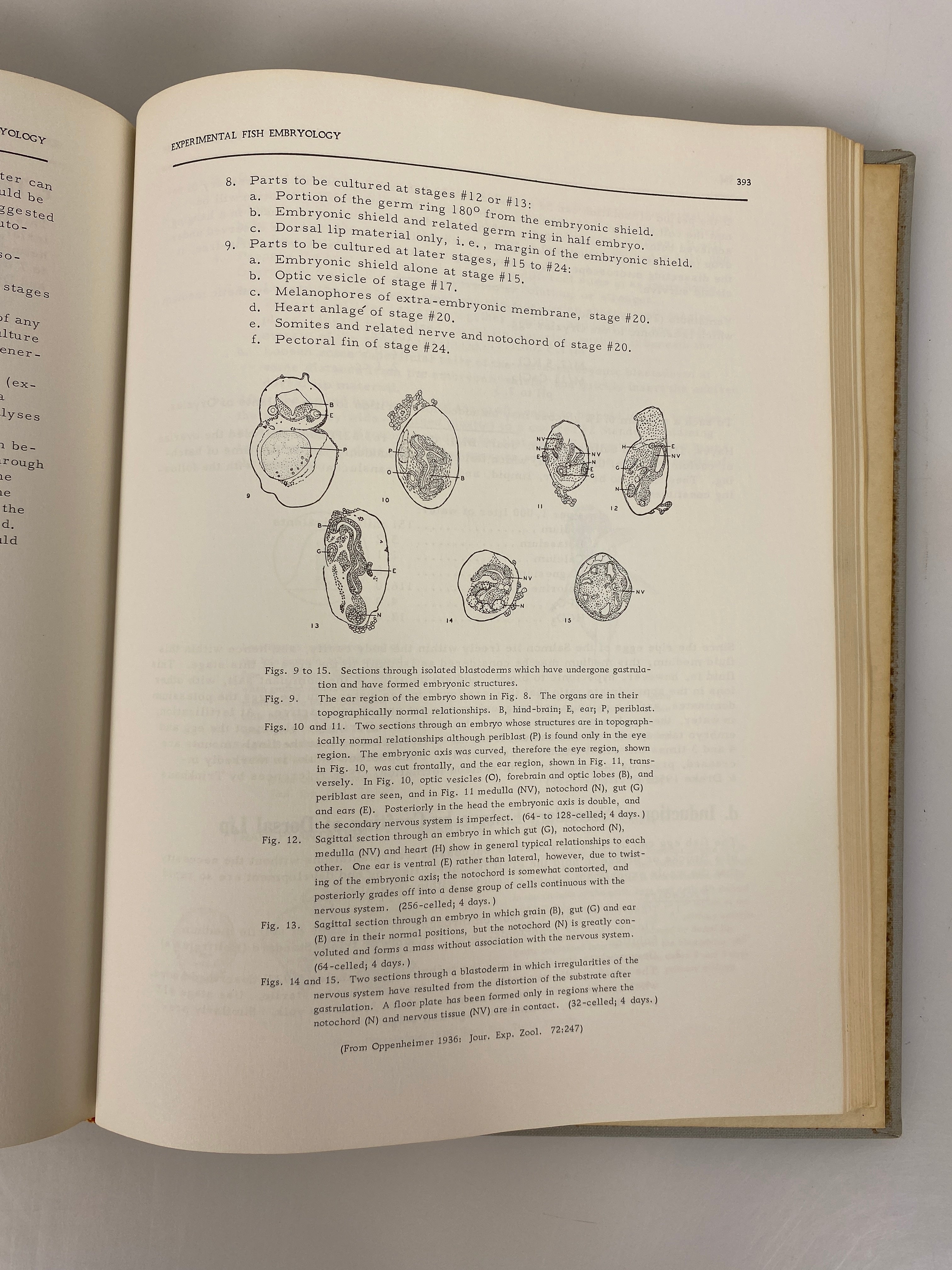 Experimental Embryology by Roberts Rugh 1962 Third Edition HC