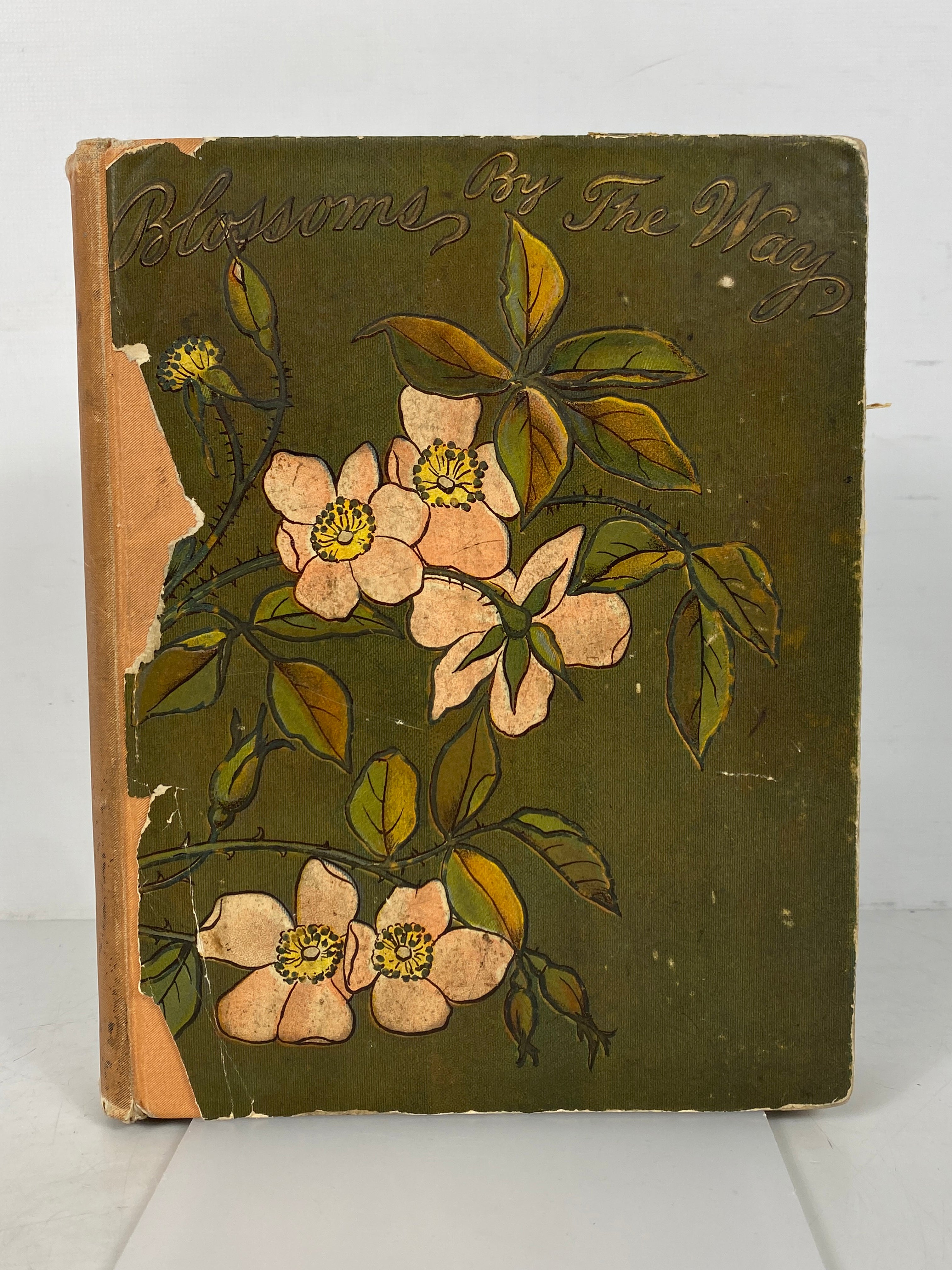 Blossoms By The Way Choice Poems Illustrated 1882 First Edition Antique HC