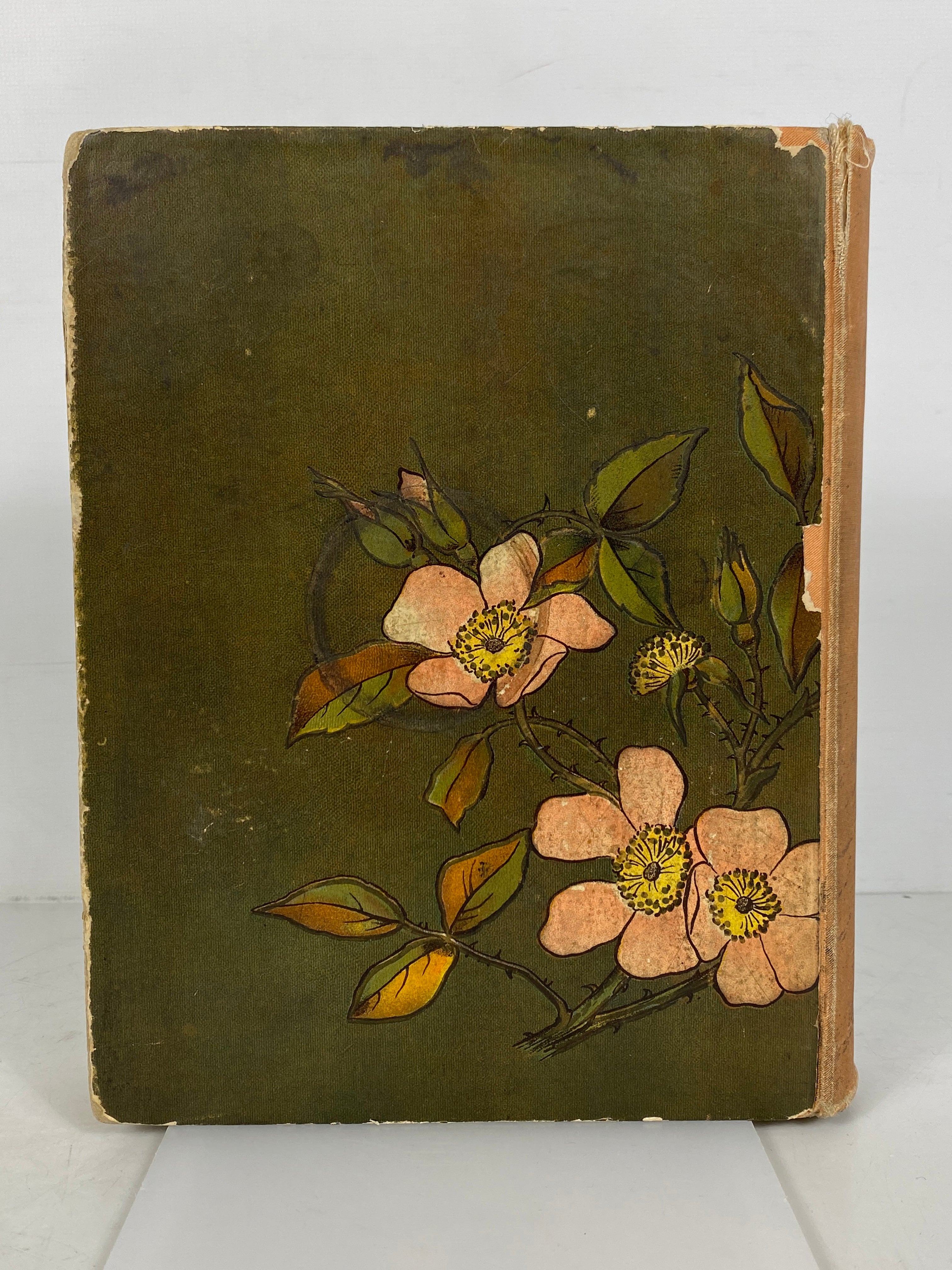 Blossoms By The Way Choice Poems Illustrated 1882 First Edition Antique HC