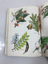 Junior Girl Scout Handbook 15th Print 1972 SC