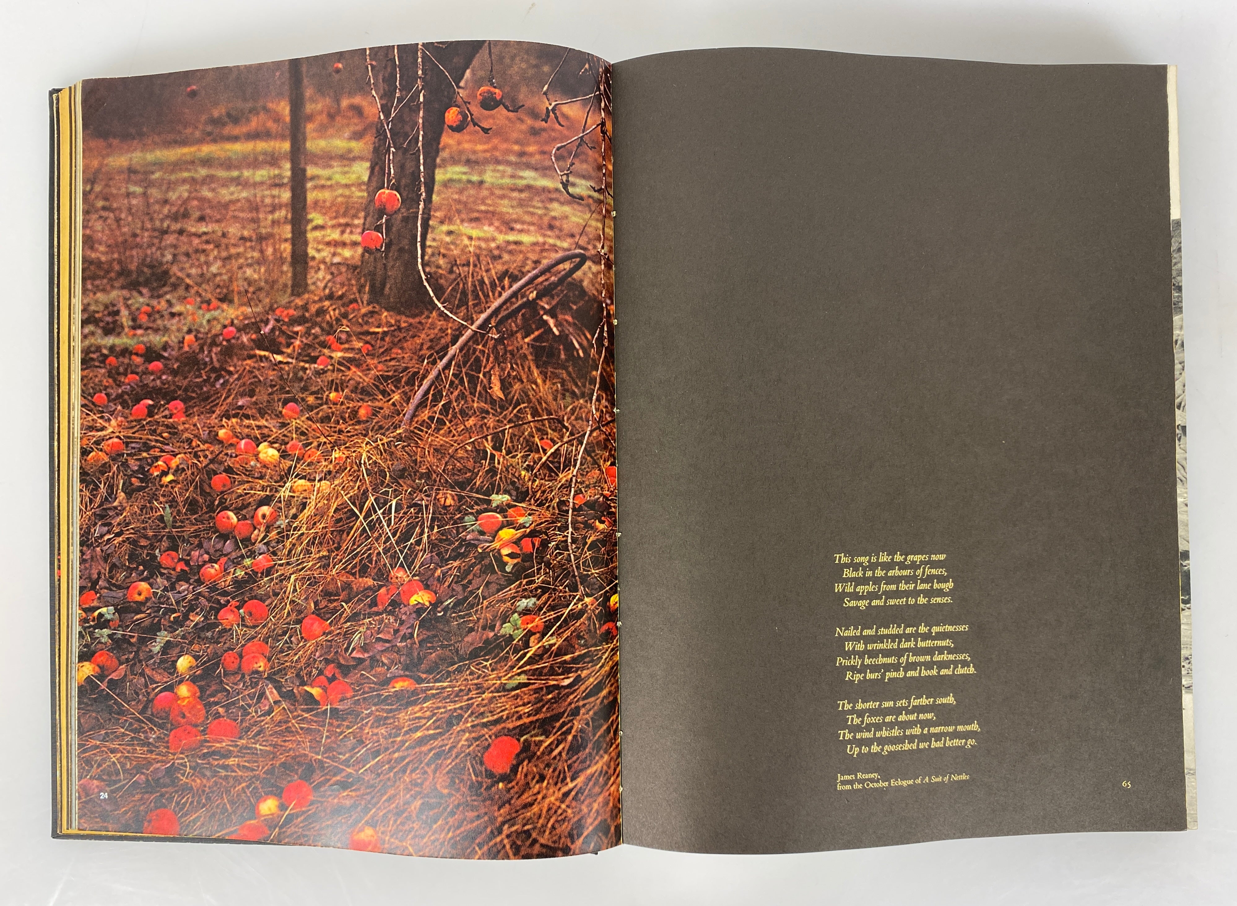 To Every Thing There is a Season Roloff Beny in Canada 1967 Vintage Oversized HC