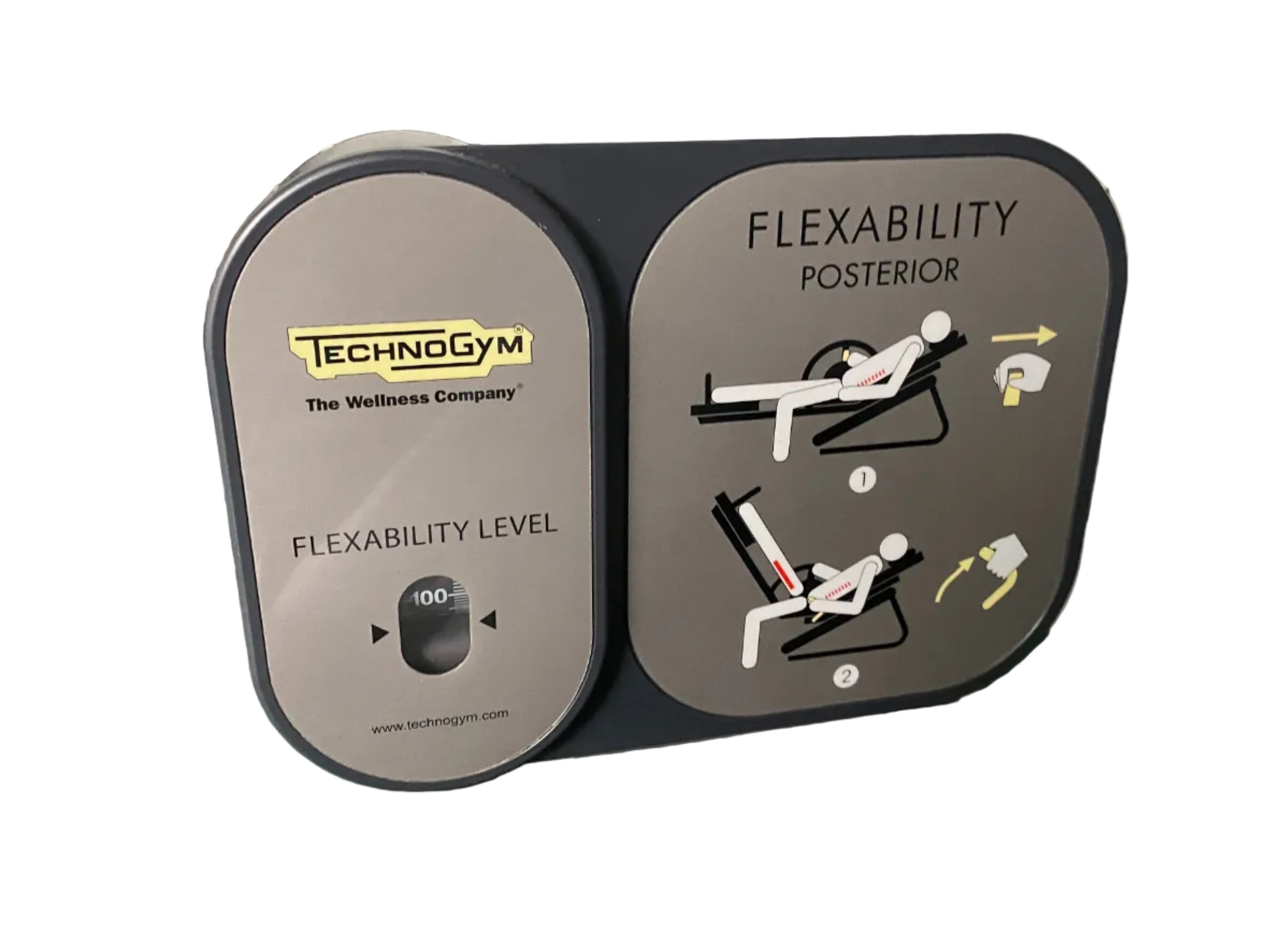 Technogym Flexibility Posterior Machine #1
