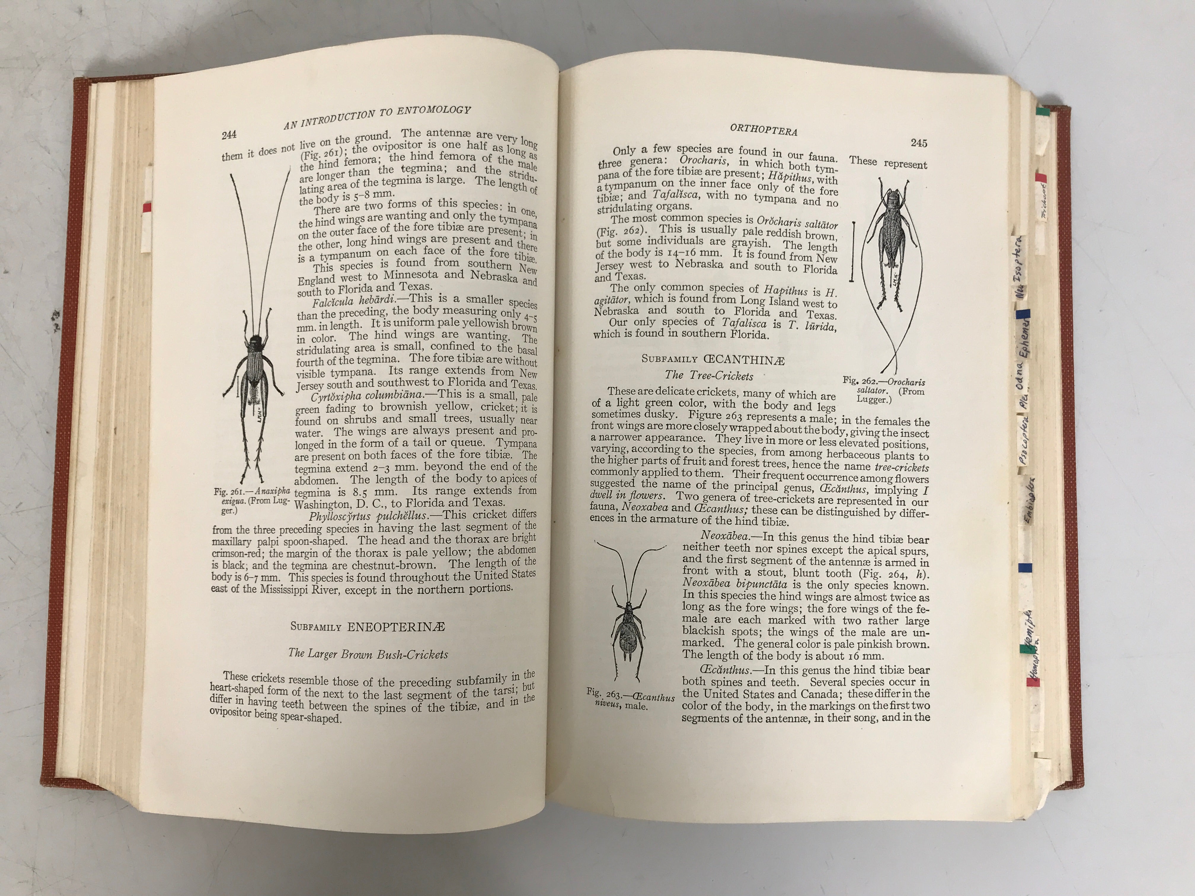 An Introduction to Entomology by J.H. Comstsock 1940 9th Ed Revised HC