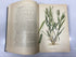 Farm Weeds of Canada by Clark/Fletcher Ex-Library 2nd Ed 1909 HC