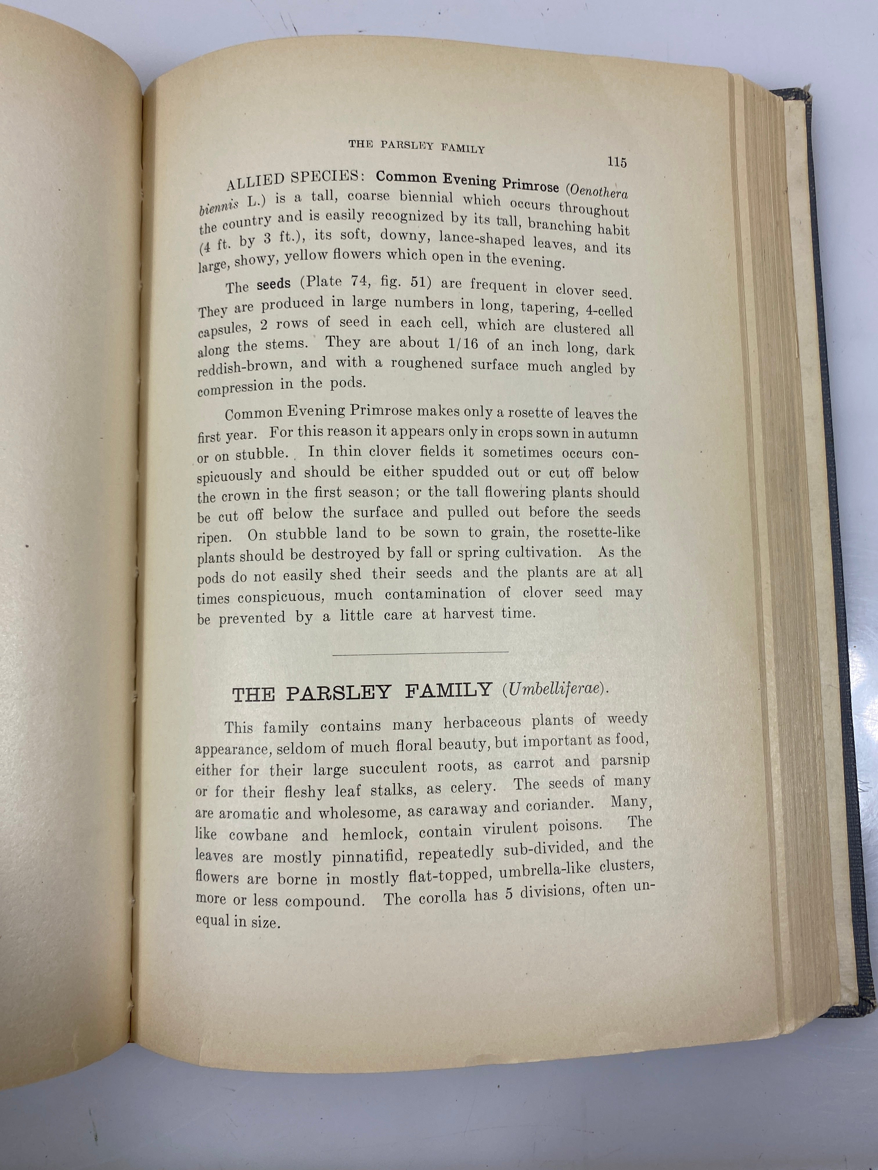 Farm Weeds of Canada by Clark/Fletcher Ex-Library 2nd Ed 1909 HC