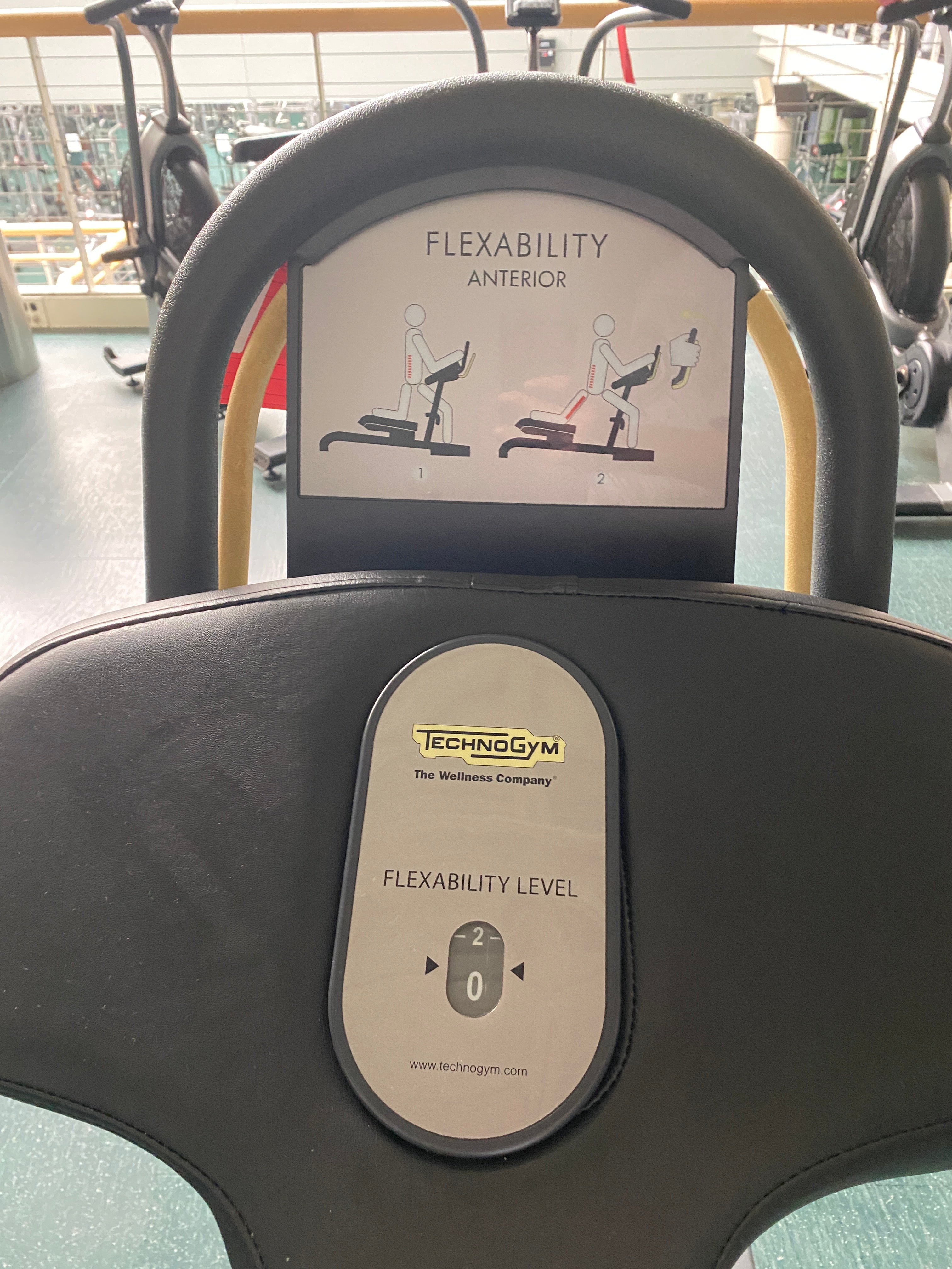 Technogym Flexibility Anterior Machine #1