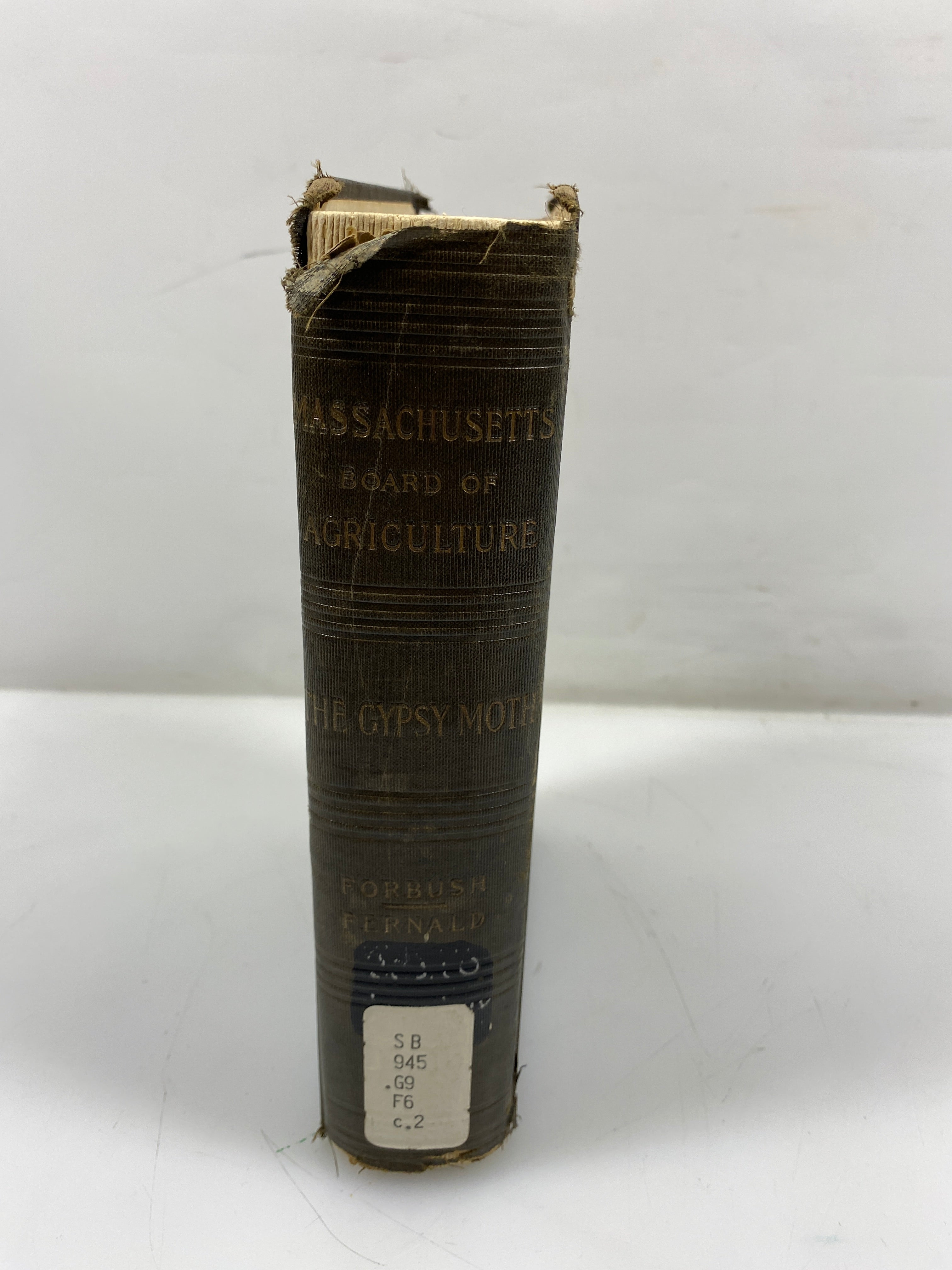 The Gypsy Moth by Forbush/Fernald Ex-Library 1896 HC