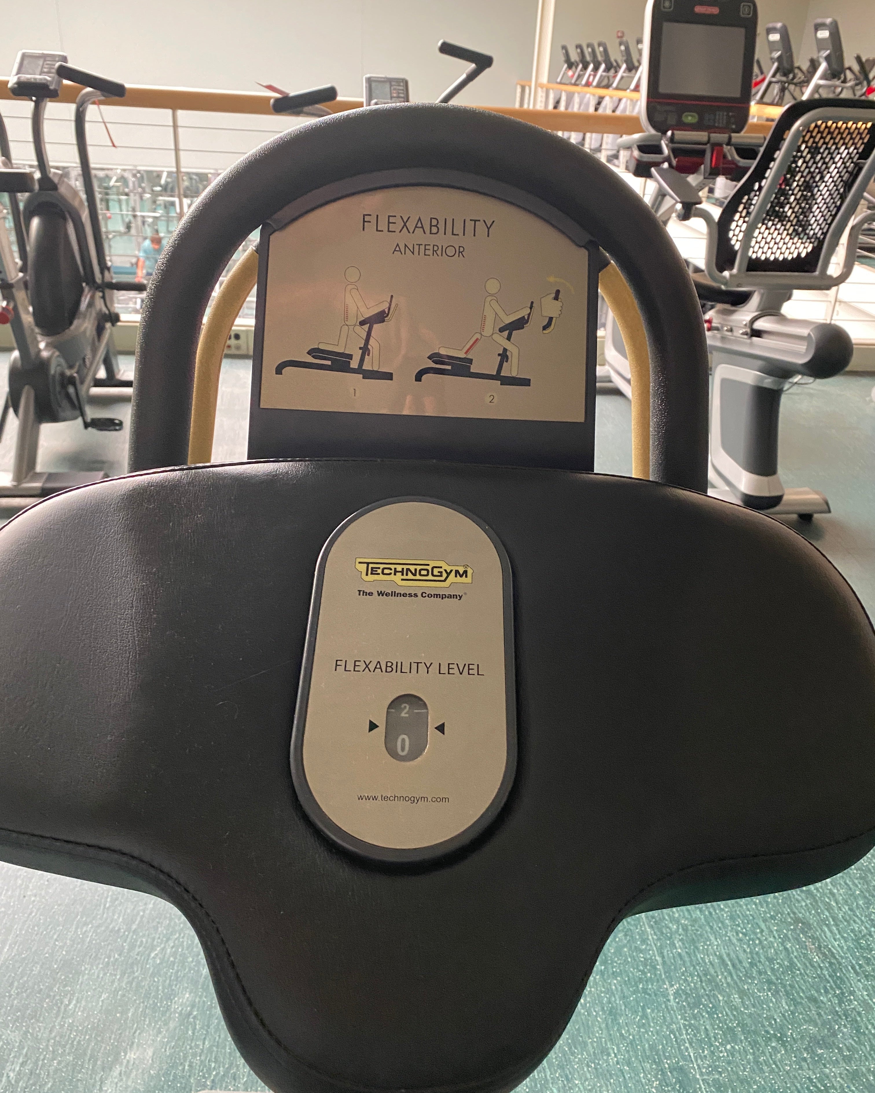 Technogym Flexibility Anterior Machine #2