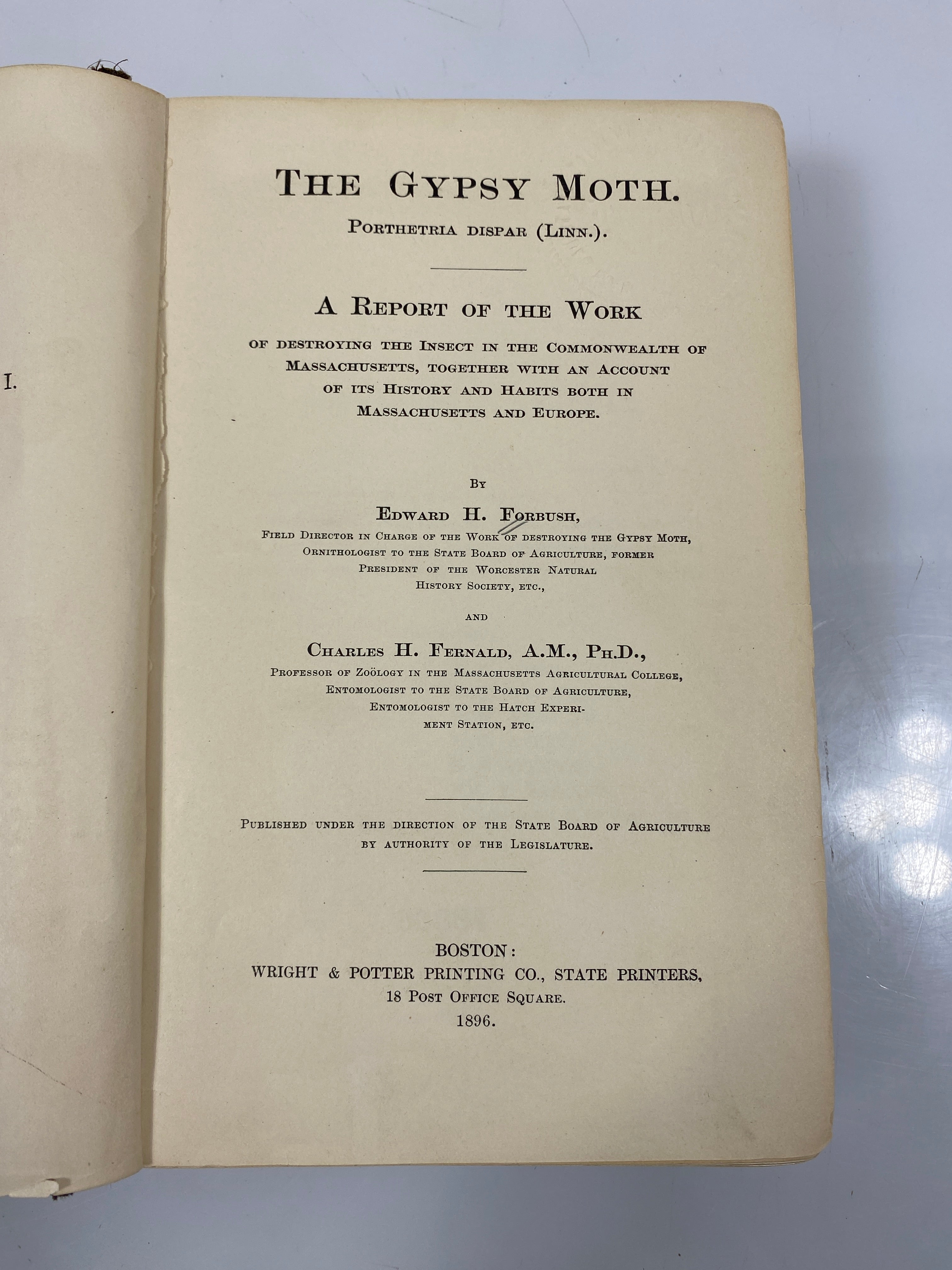 The Gypsy Moth by Forbush/Fernald Ex-Library 1896 HC