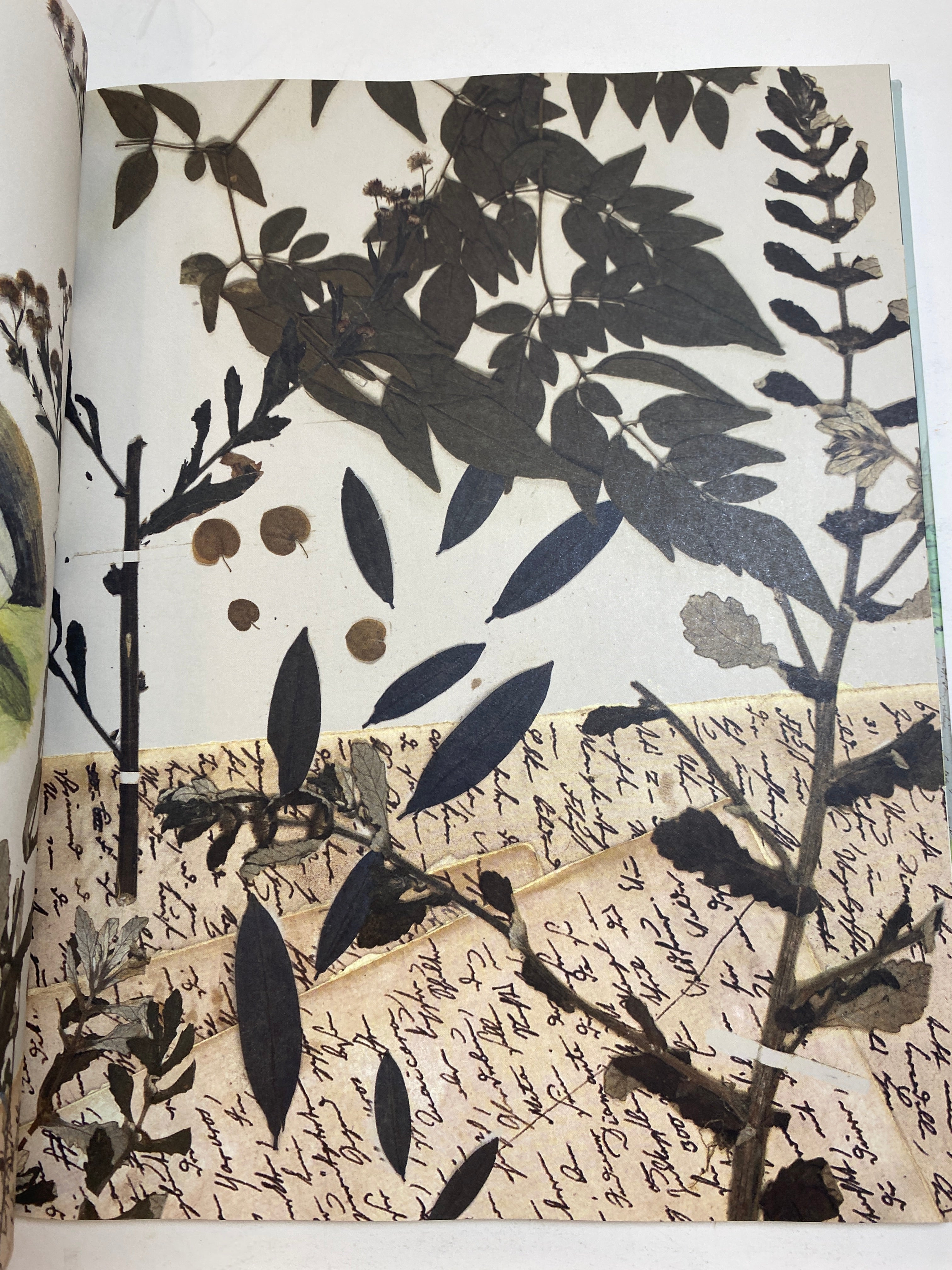 Adventures of Alexander von Humboldt HC 2019