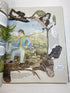 Adventures of Alexander von Humboldt HC 2019