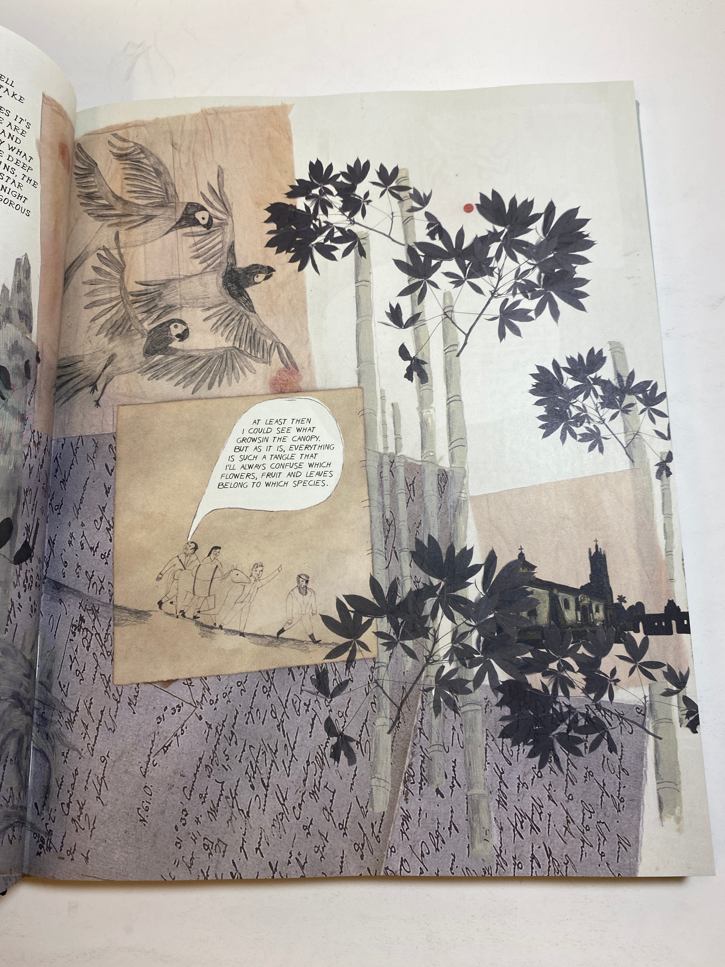 Adventures of Alexander von Humboldt HC 2019