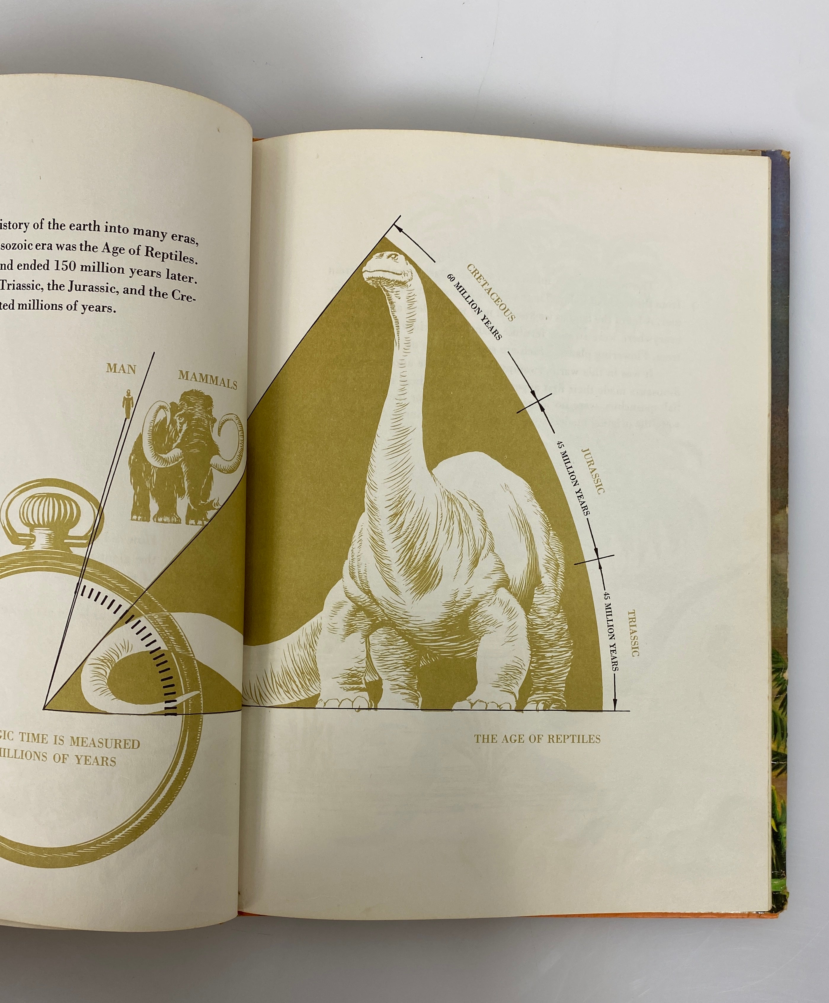 The Rise and Fall of the Dinosaurs by Anthony Ravielli 1963 Vintage HC DJ